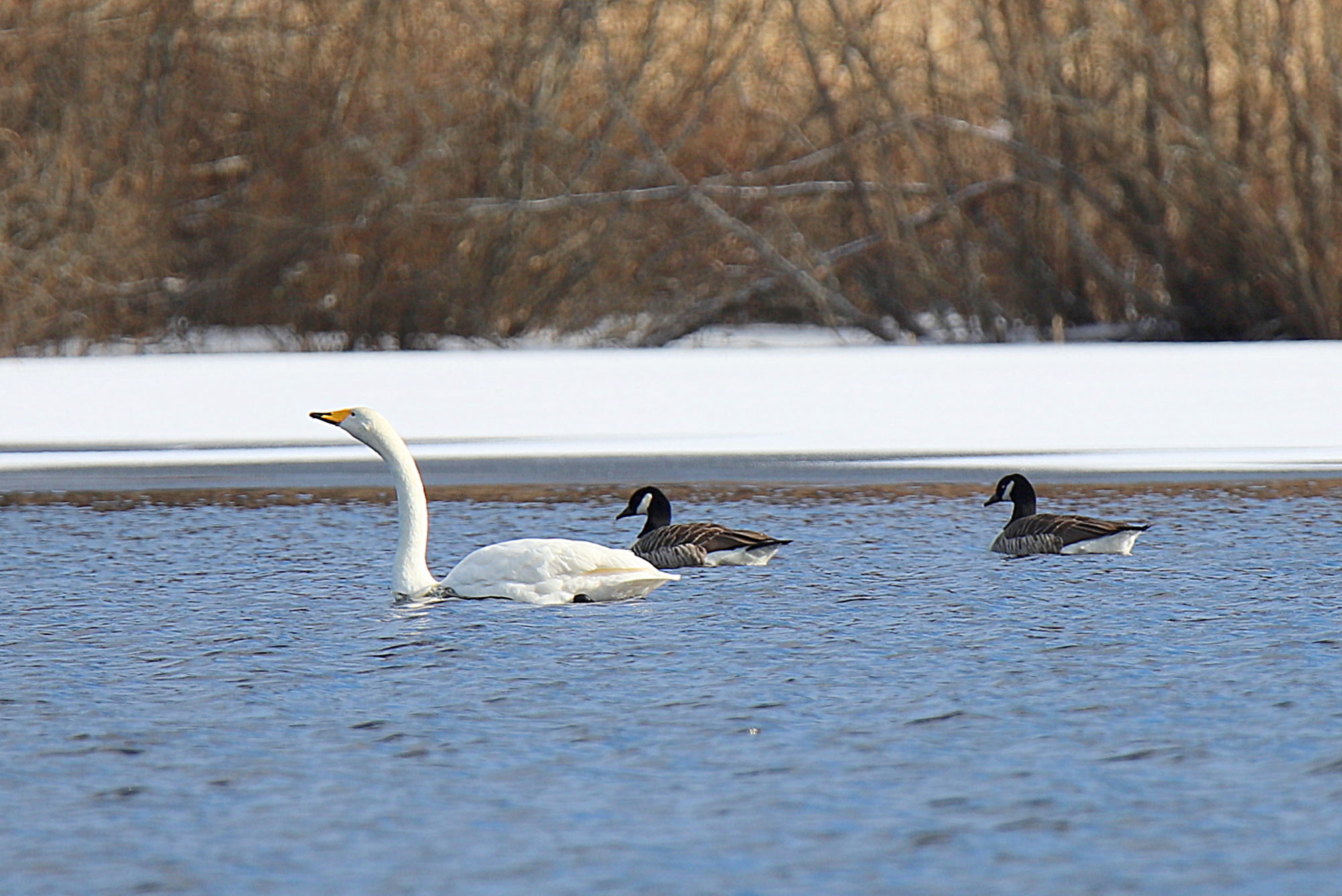 Valokuvaaja: sirpa Jyske Valokuvaaja: sirpa Jyske