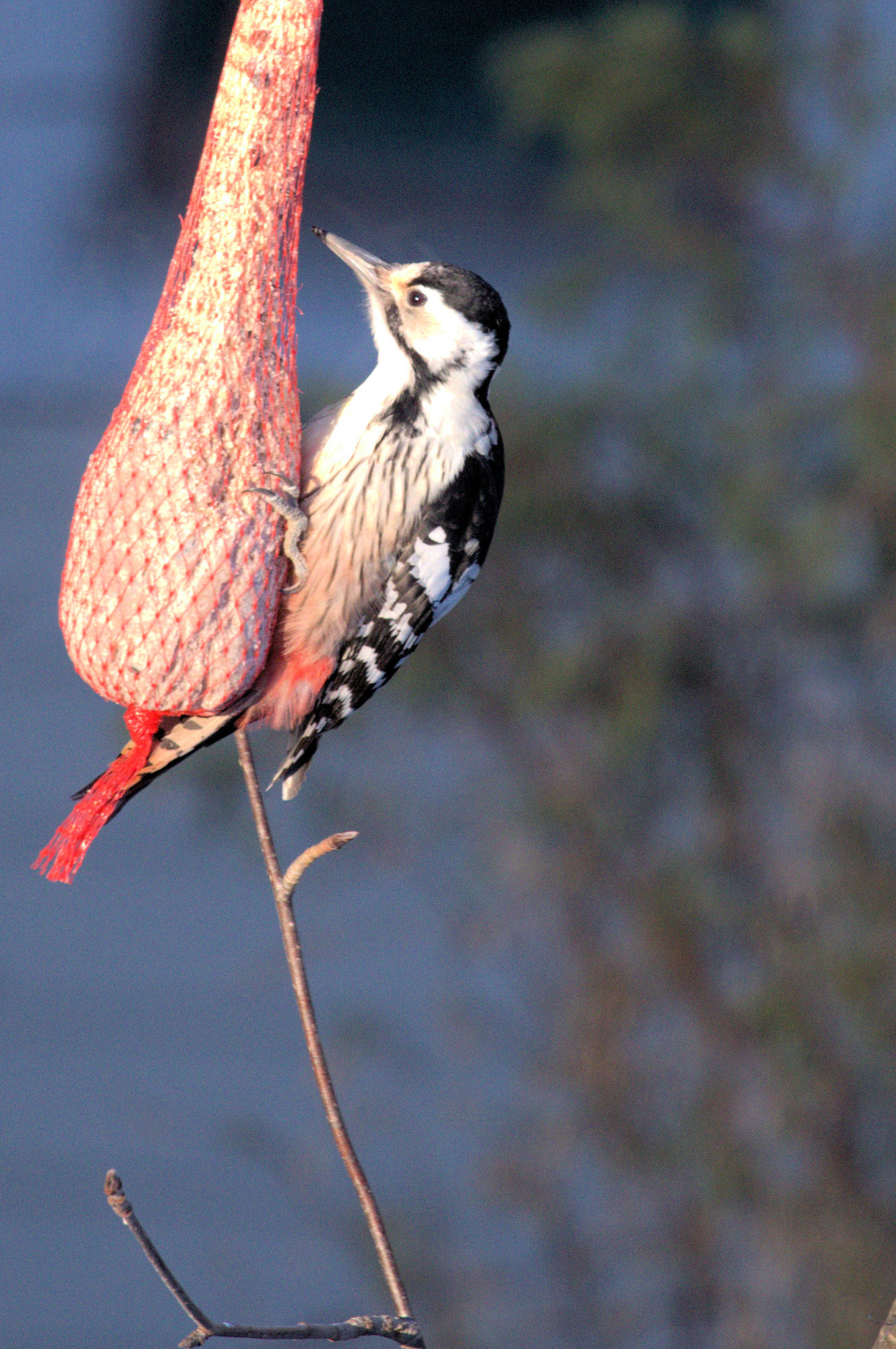 Valokuvaaja: Ahti Keränen
