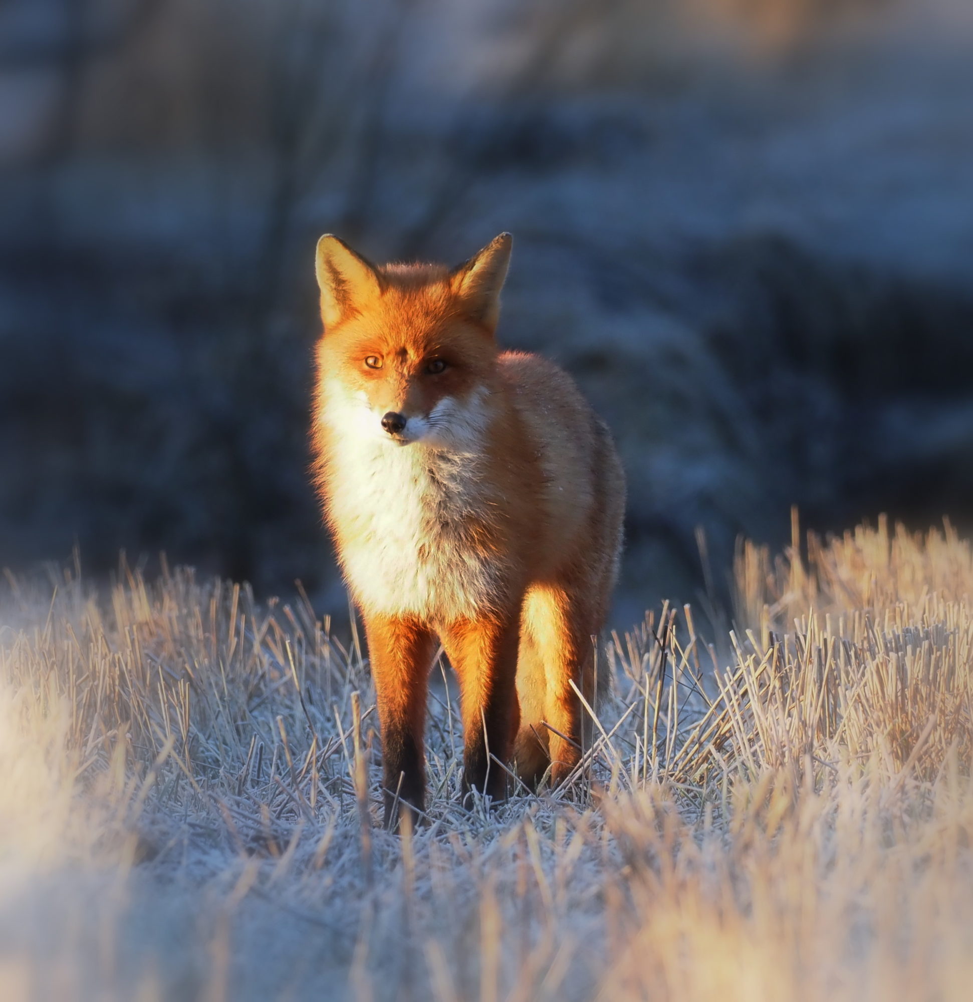 Valokuvaaja: Kari Aaltonen, Salo