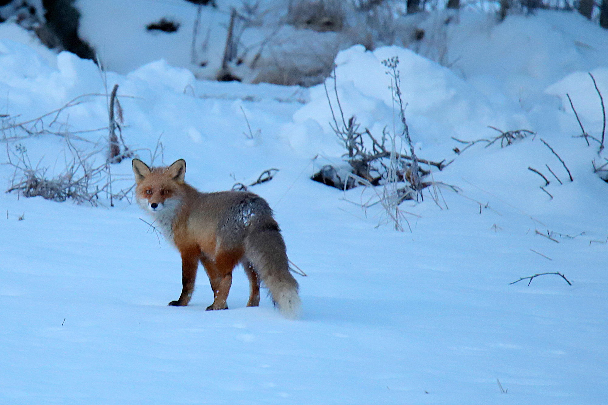 Valokuvaaja: sirpa jyske