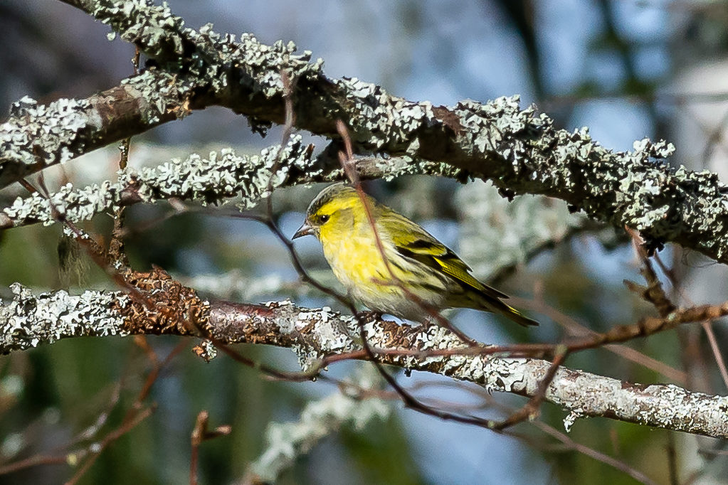 Valokuvaaja: Paula Rostedt