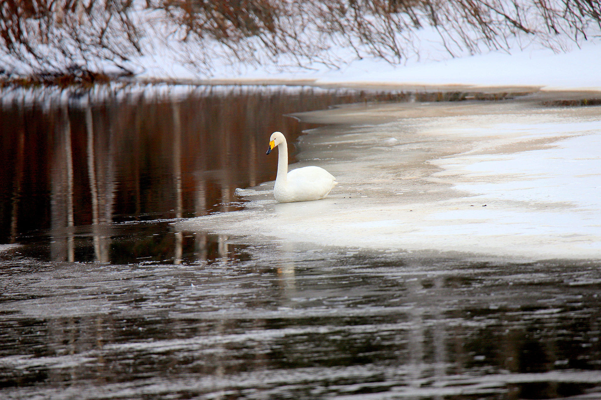Valokuvaaja: sirpa jyske