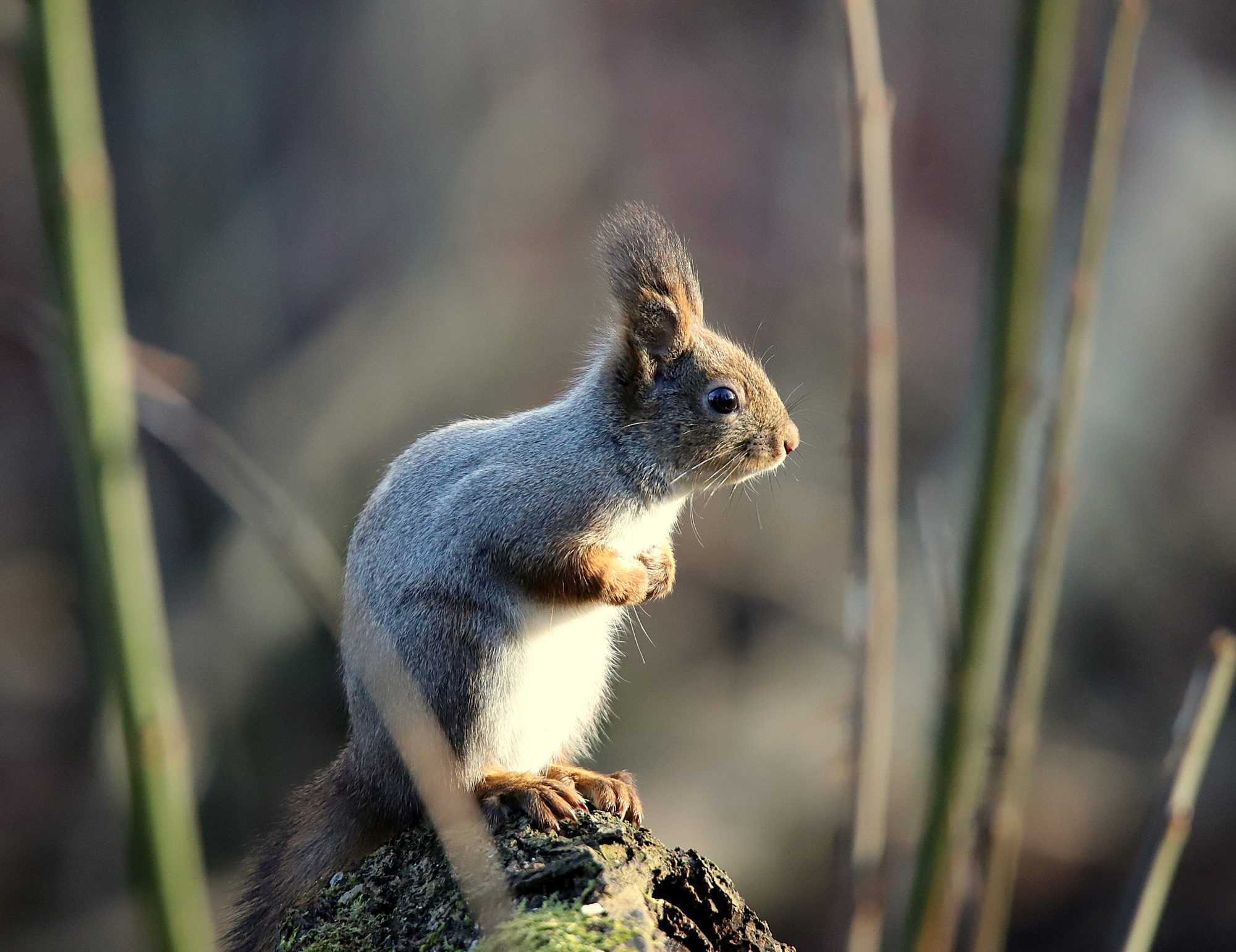 Valokuvaaja: sirpa jyske