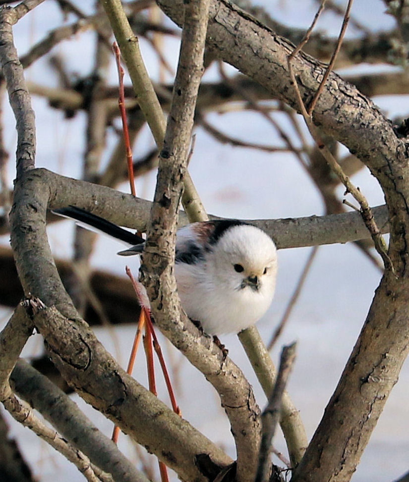 Valokuvaaja: Ahti Keränen