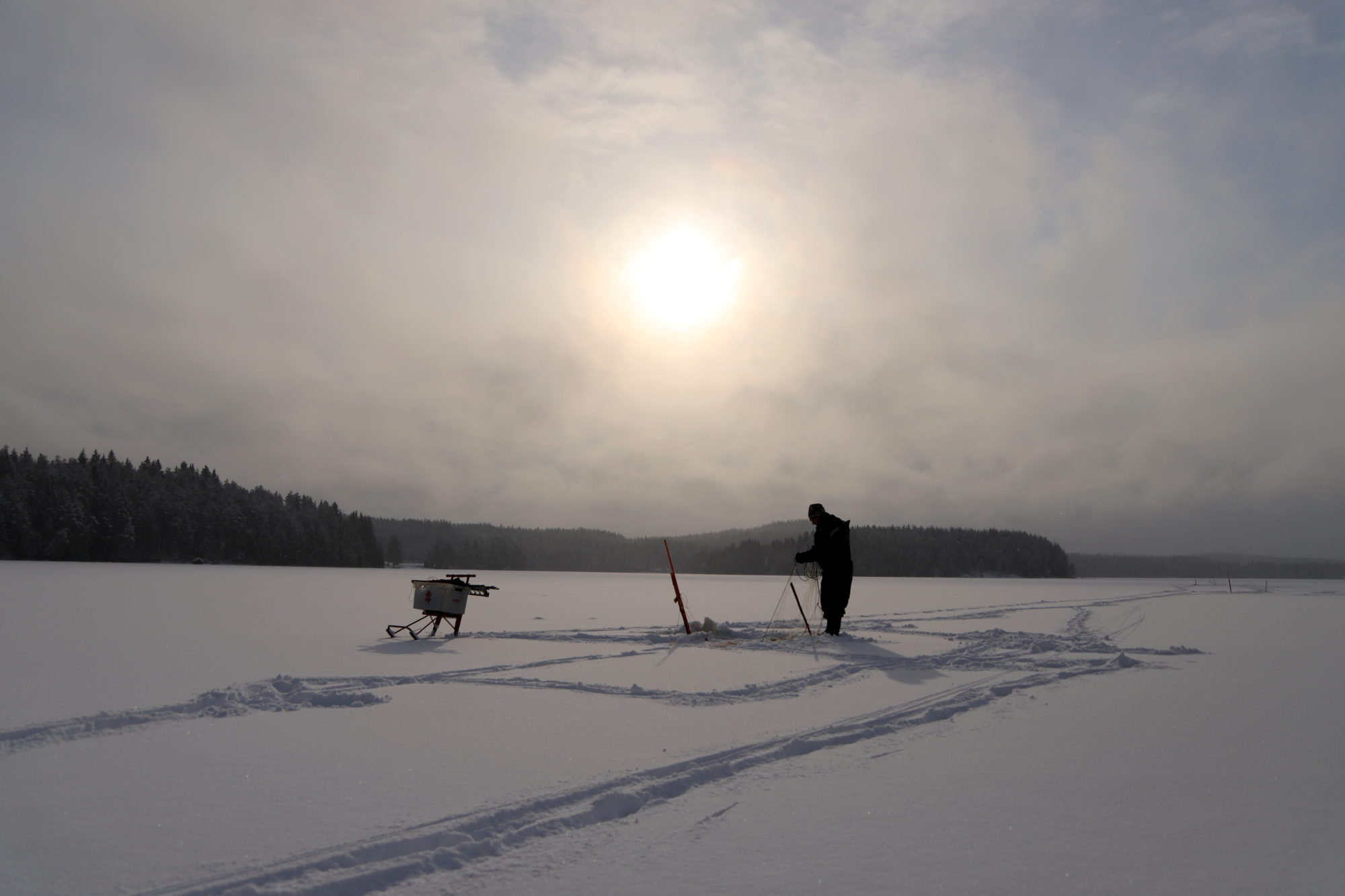 Valokuvaaja: sirpa jyske