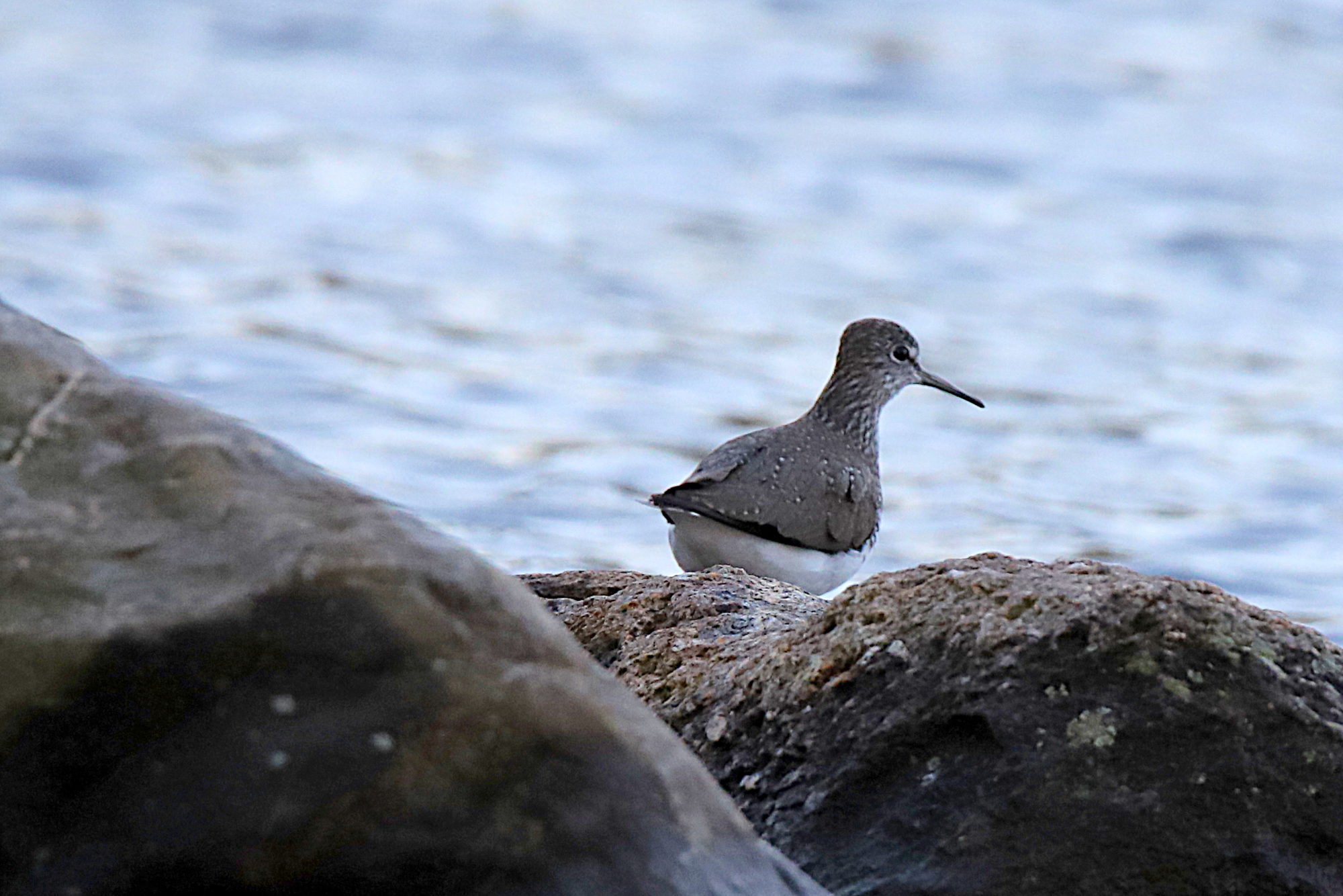 Valokuvaaja: sirpa jyske