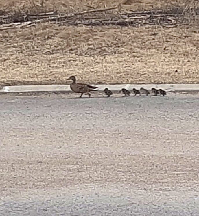 Valokuvaaja: Mikko Pirinen