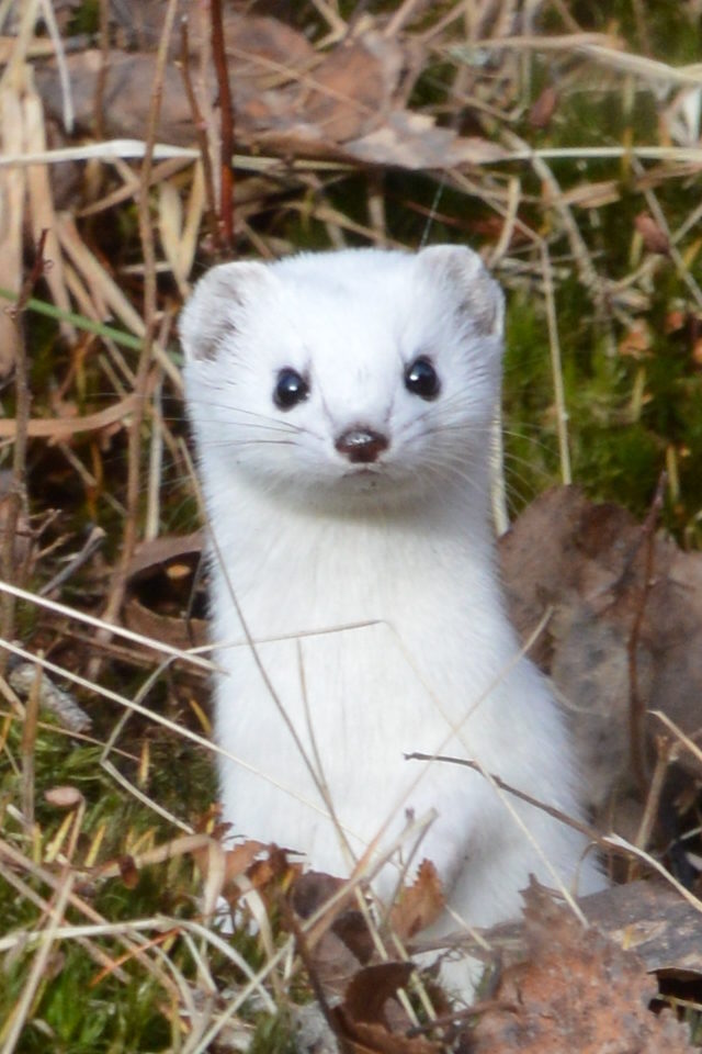 Valokuvaaja: terhi viiala