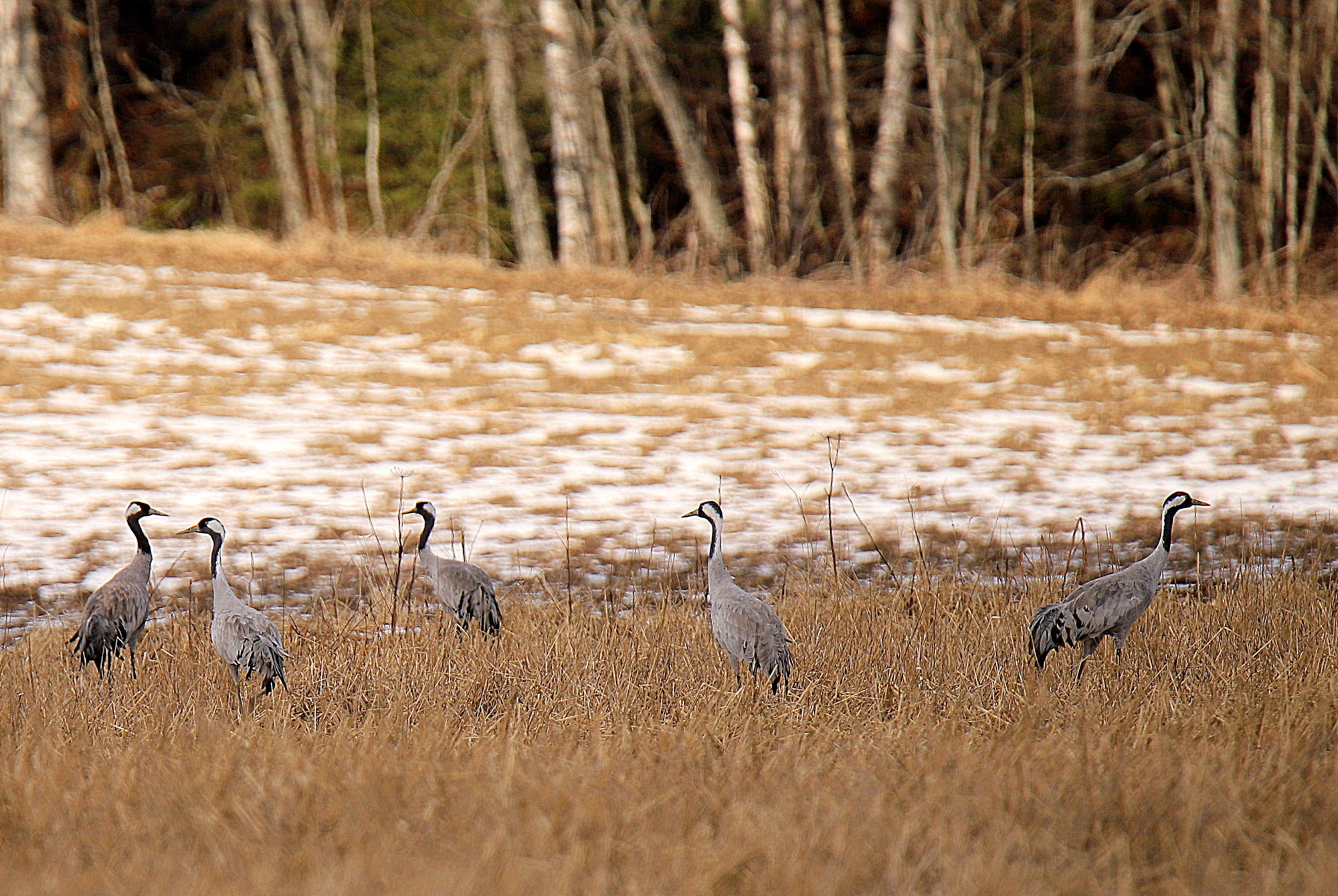 Valokuvaaja: sirpa Jyske