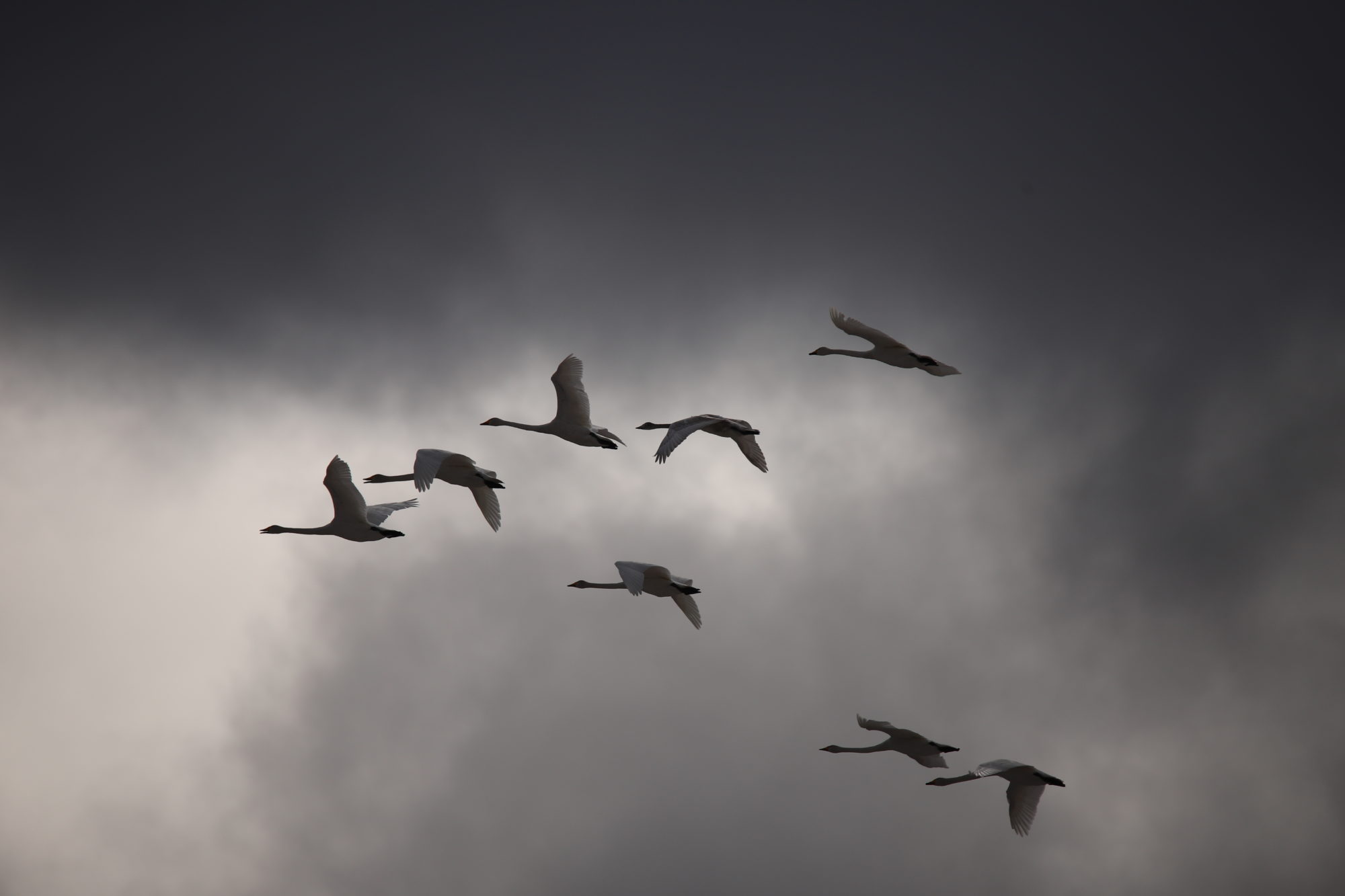 Valokuvaaja: sirpa jyske