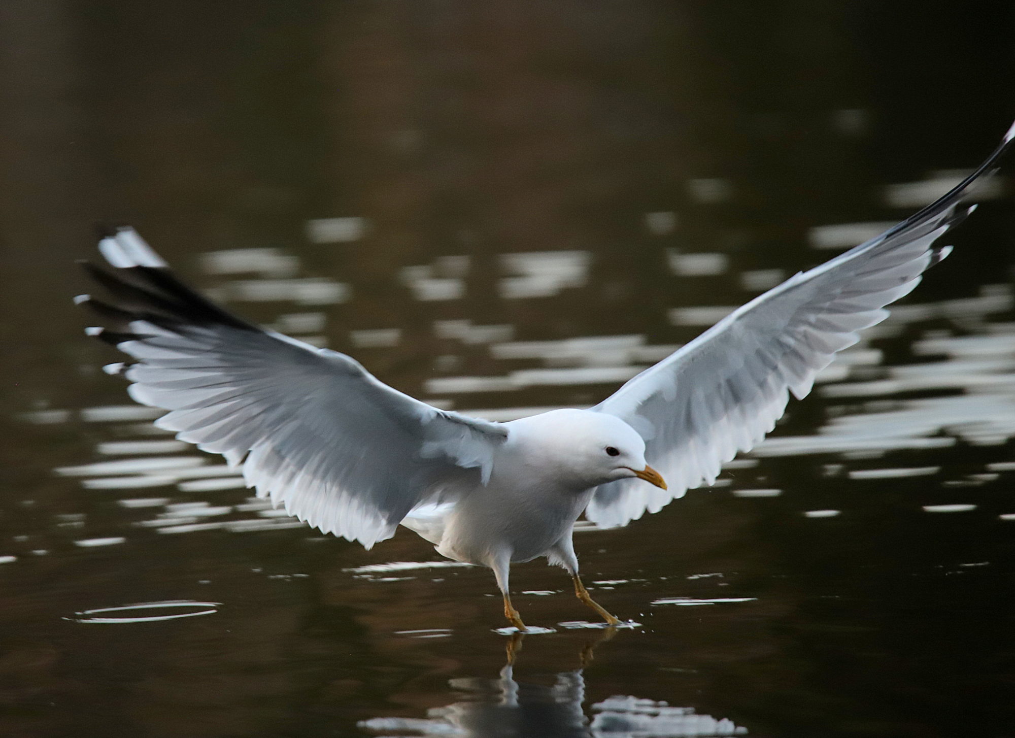 Valokuvaaja: sirpa jyske