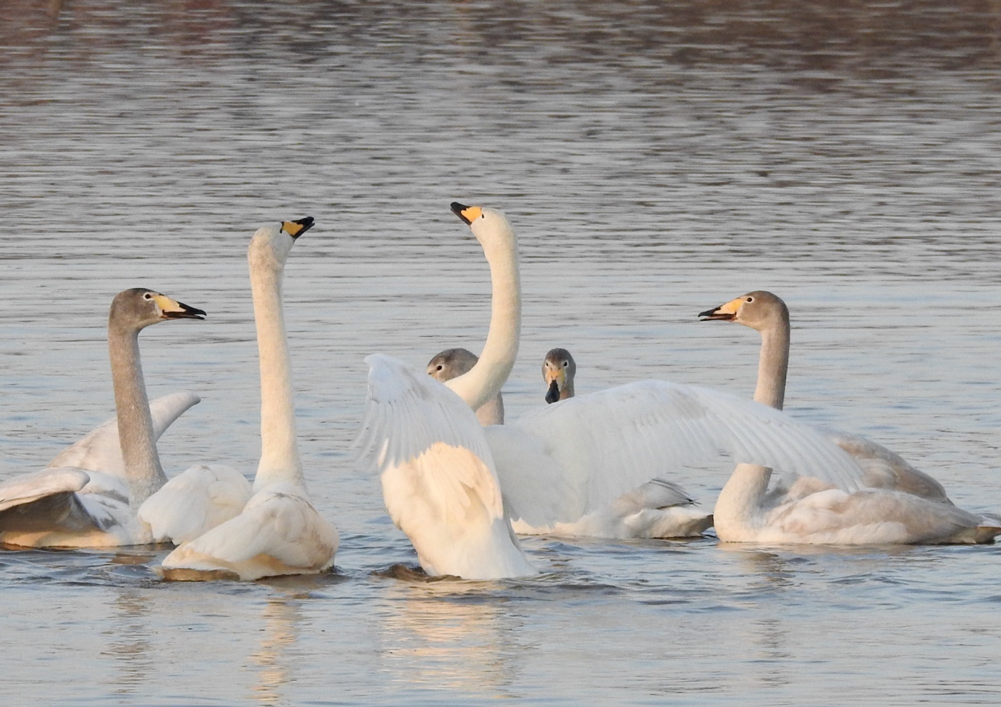 Valokuvaaja: Päivi Heikkilä