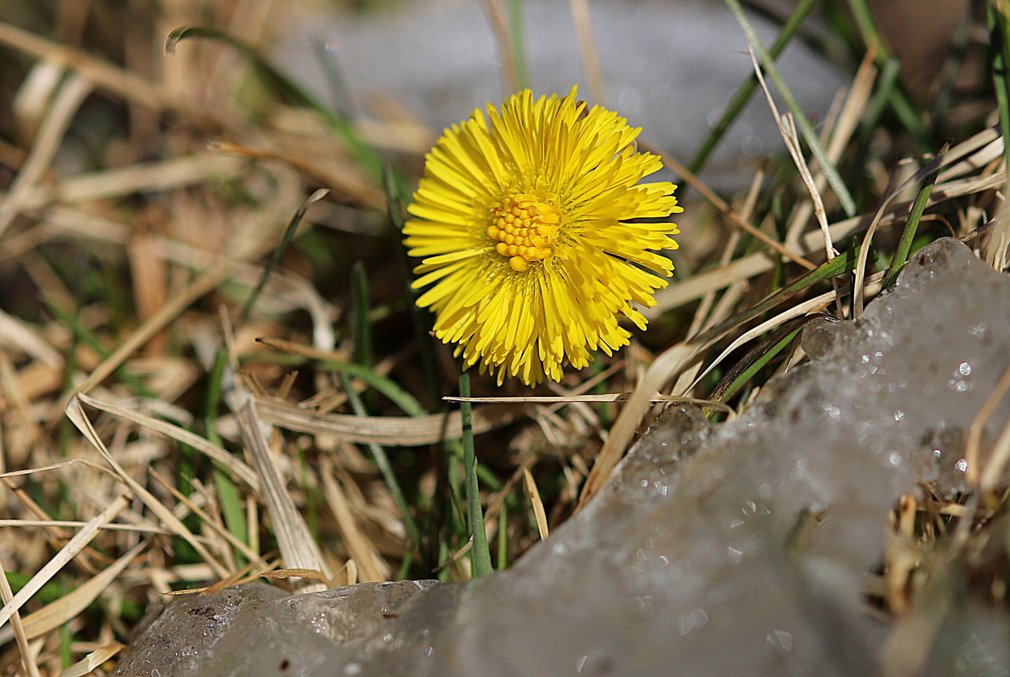 Valokuvaaja: sirpa jyske