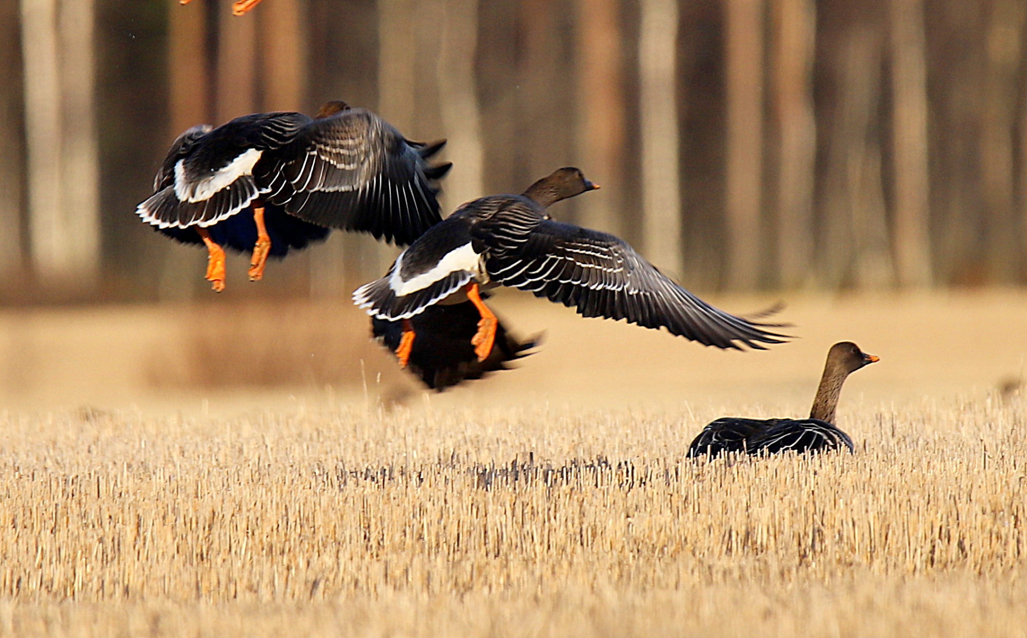 Valokuvaaja: sirpa jyske