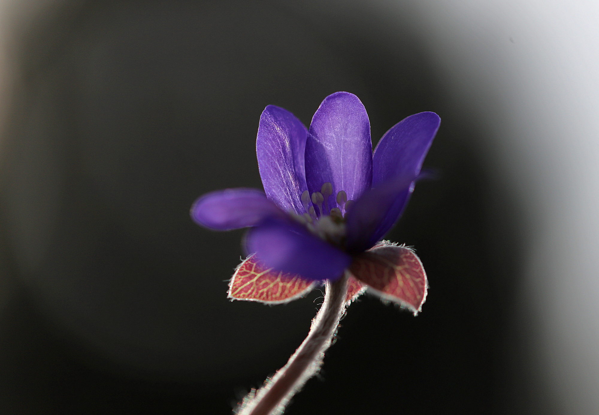 Valokuvaaja: sirpa Jyske