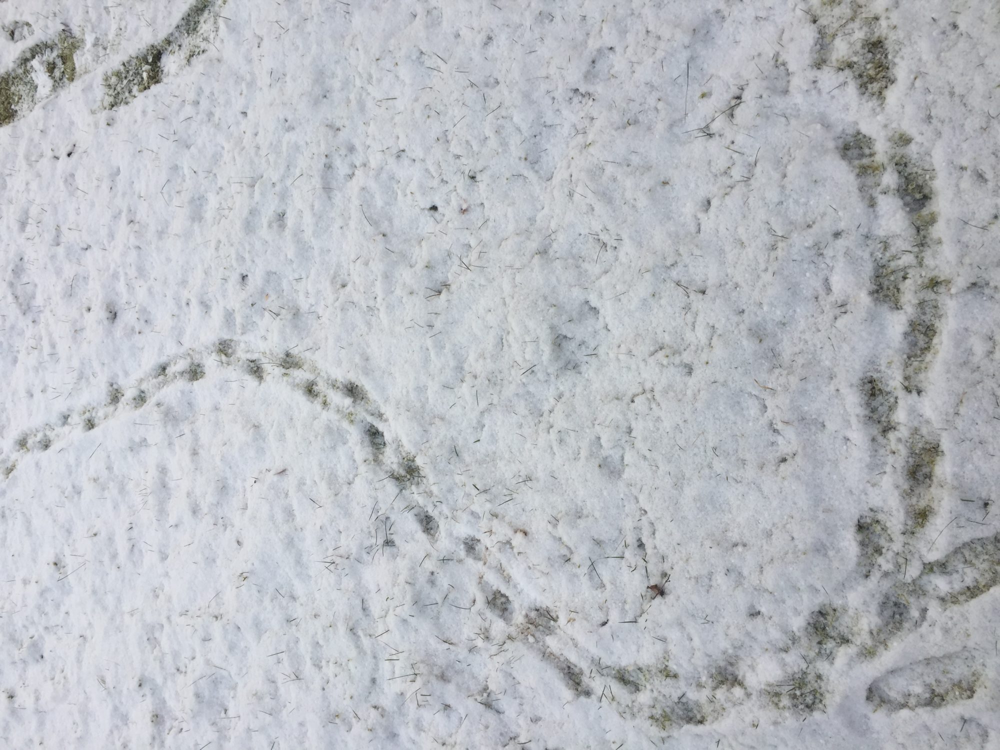 Valokuvaaja: Markku Ranta-Eilola Valokuvaaja: Markku Ranta-Eilola