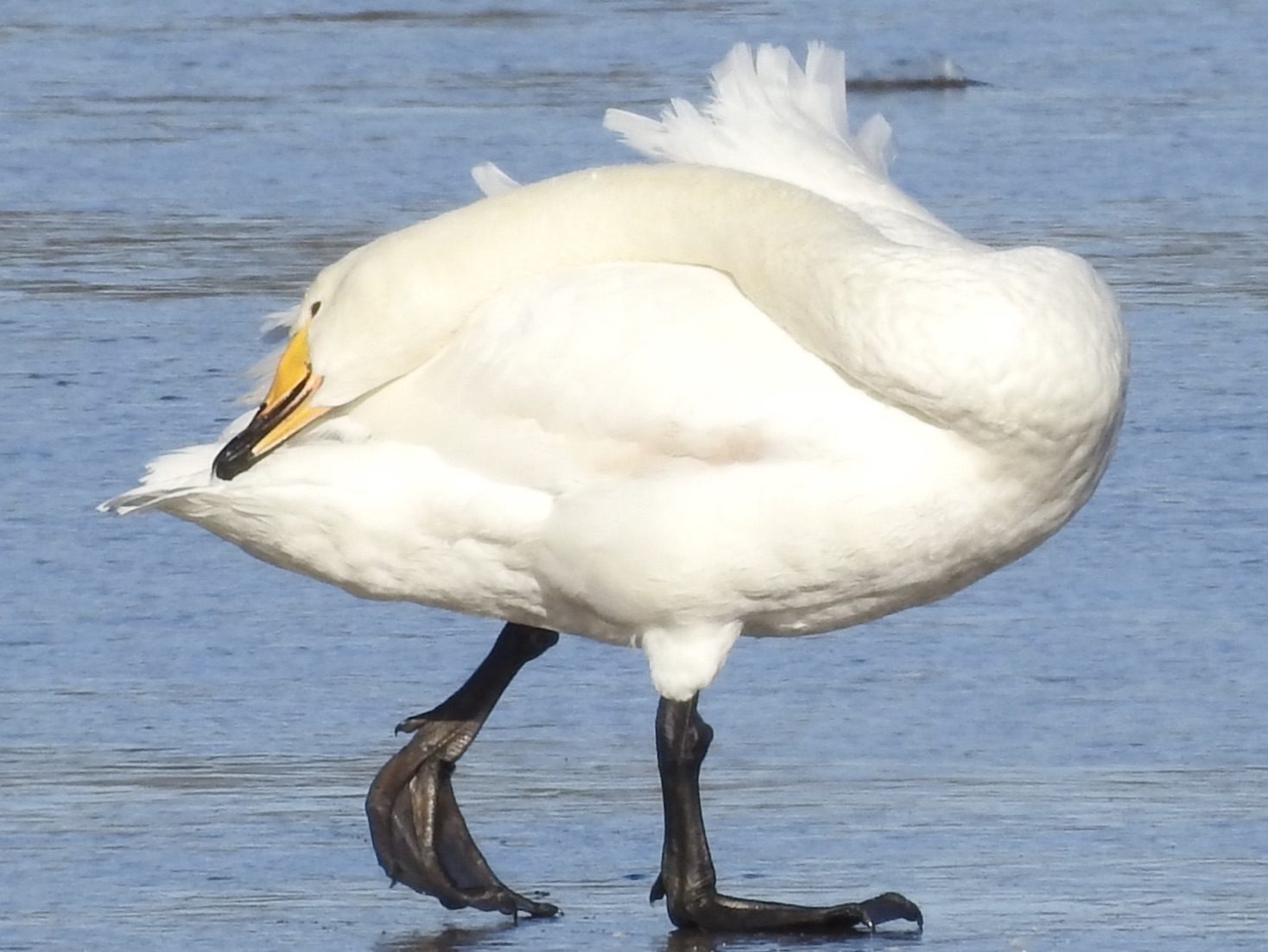 Valokuvaaja: Päivi Heikkilä