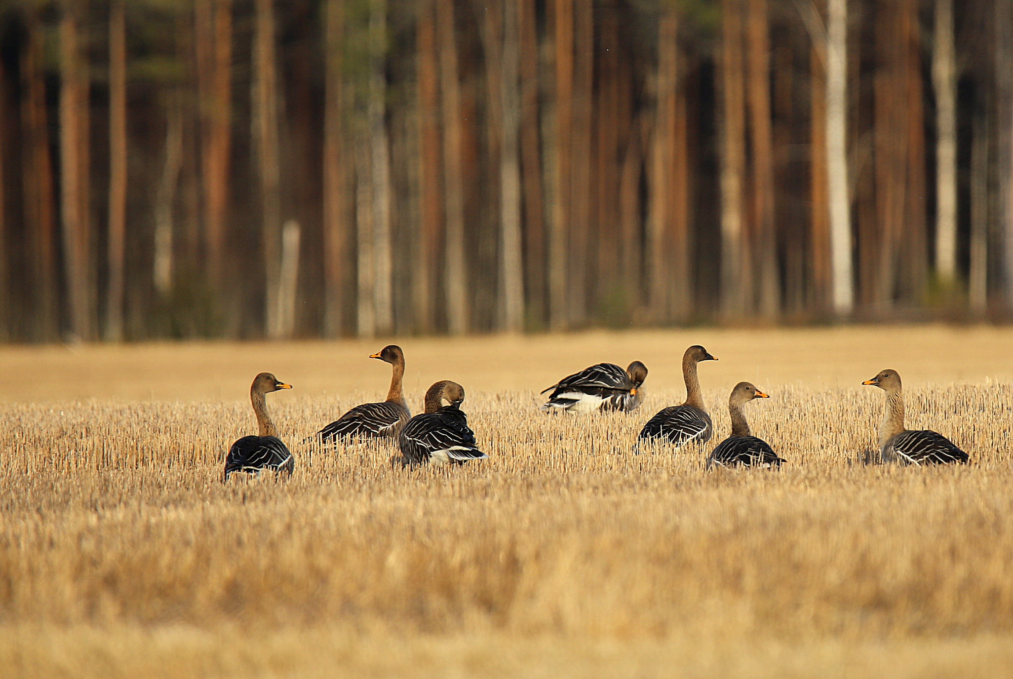 Valokuvaaja: sirpa jyske