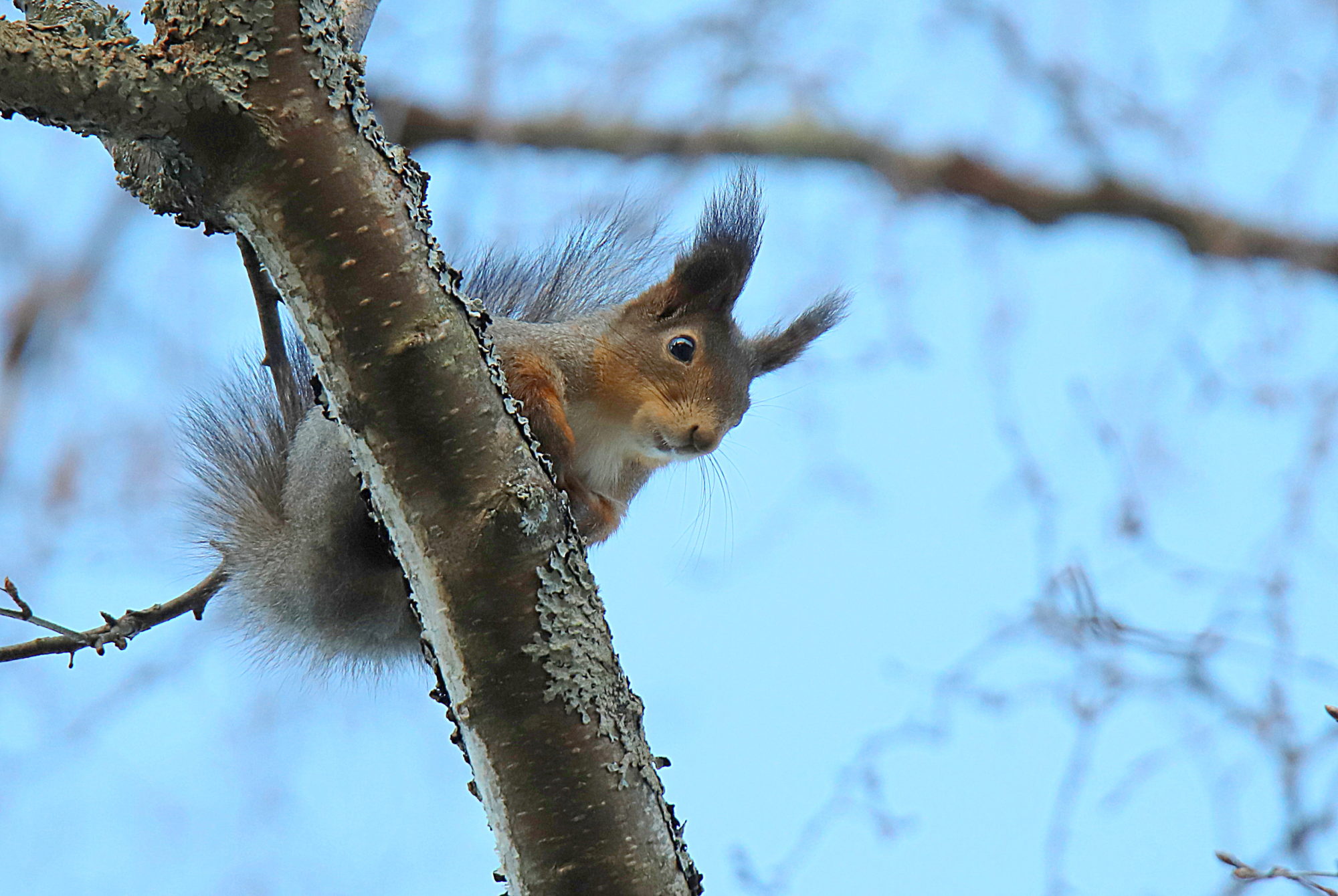 Valokuvaaja: sirpa jyske