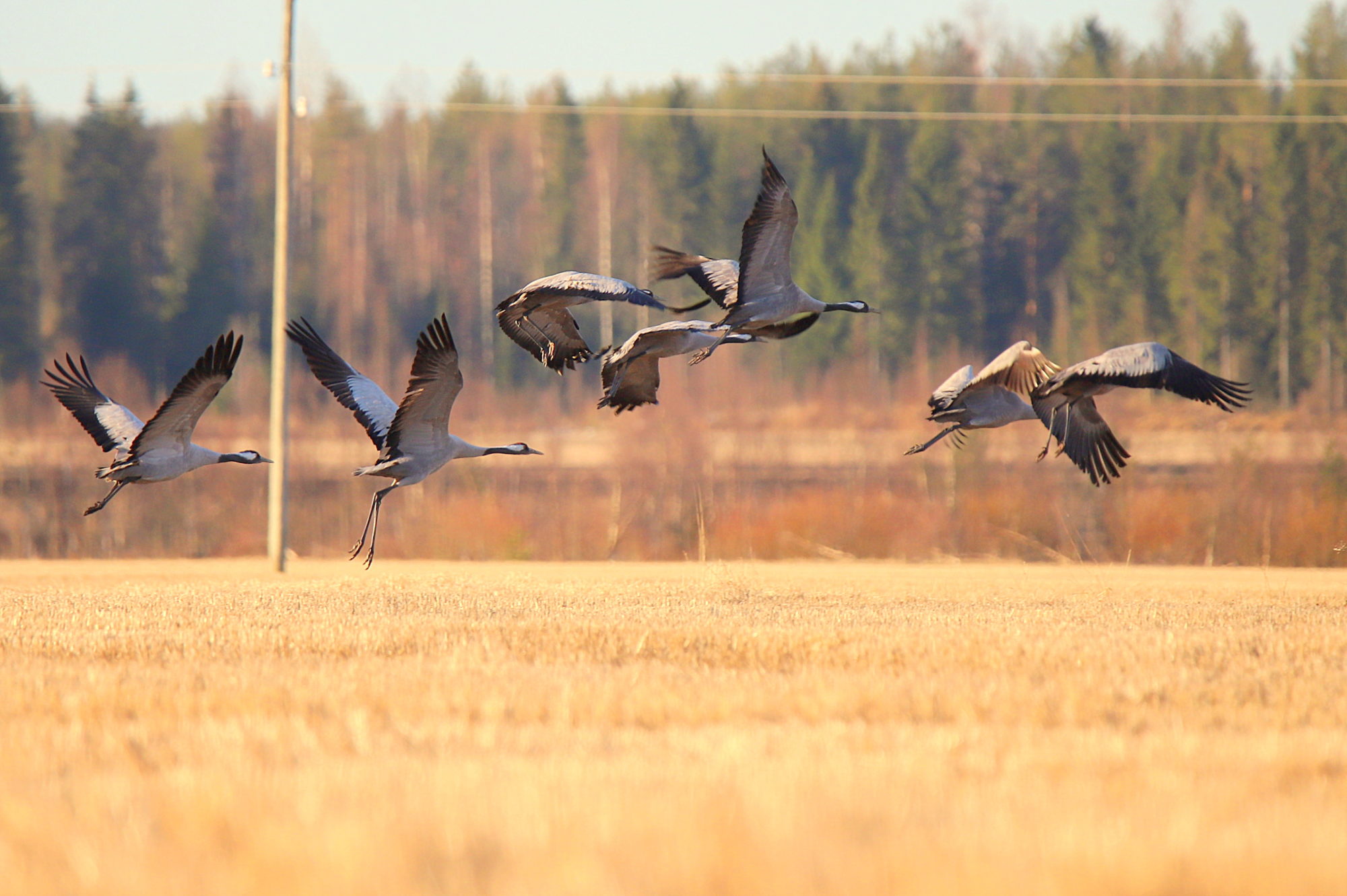 Valokuvaaja: sirpa jyske