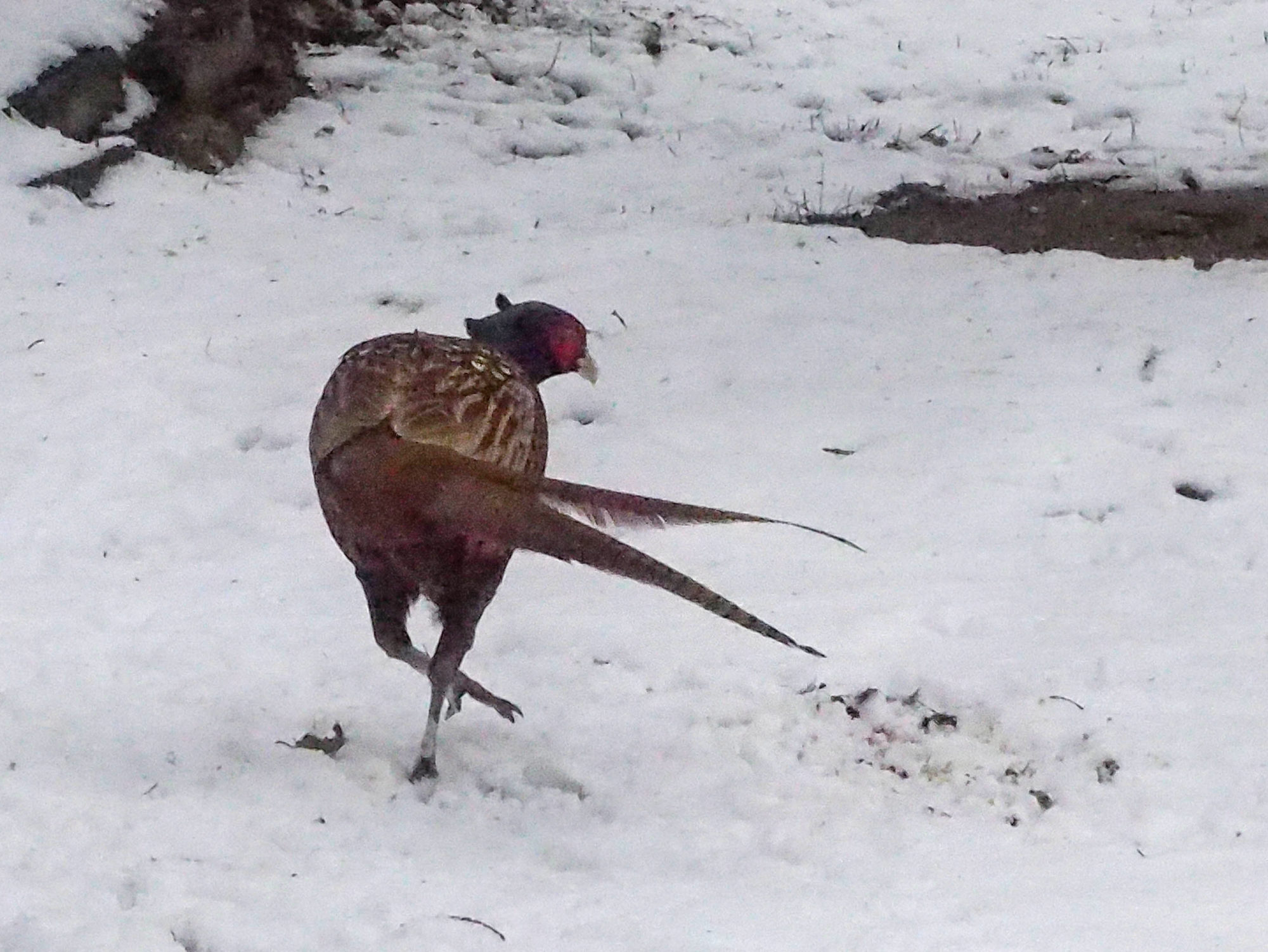 Valokuvaaja: Aki Jalava