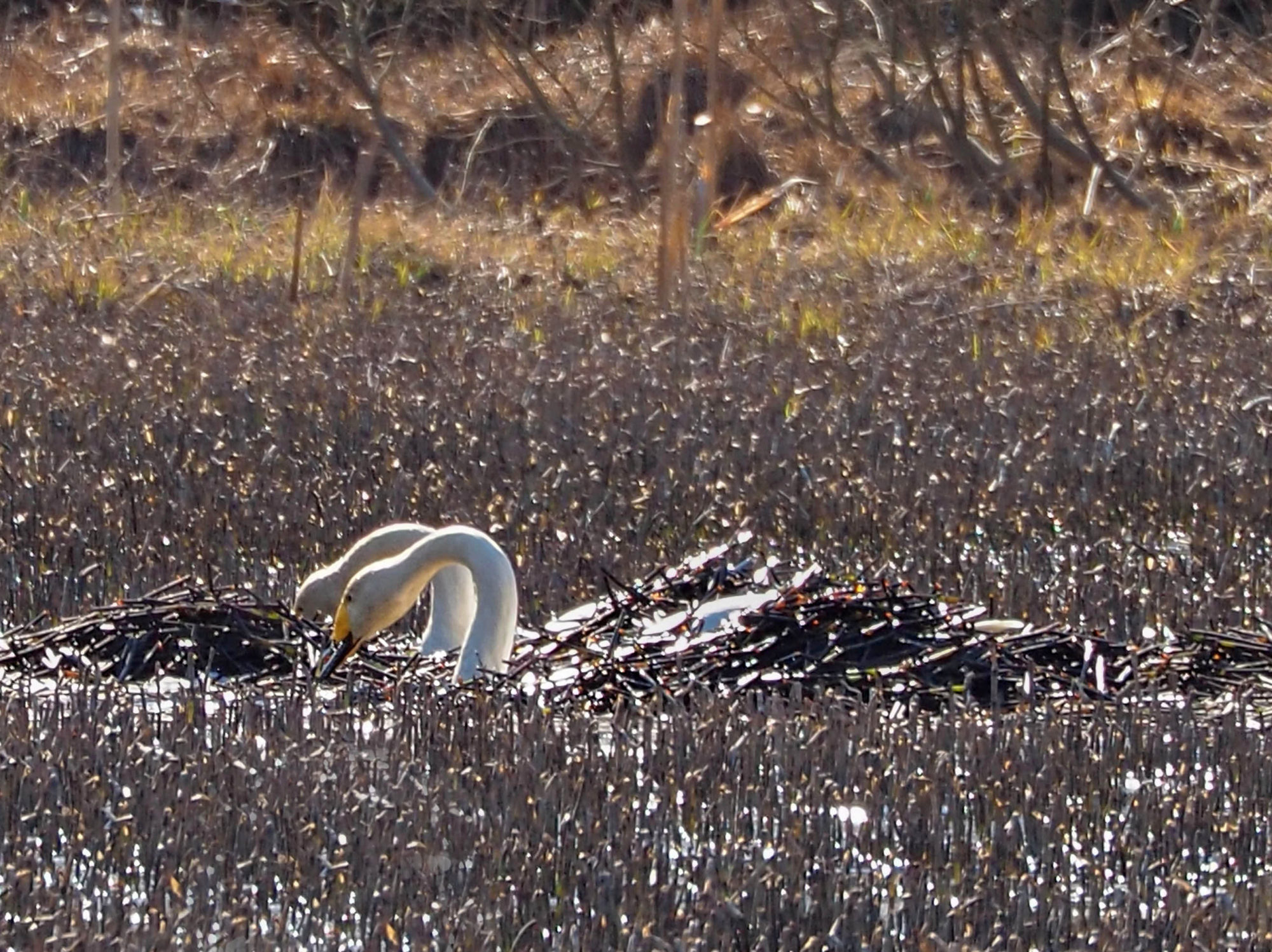Valokuvaaja: Aki Jalava