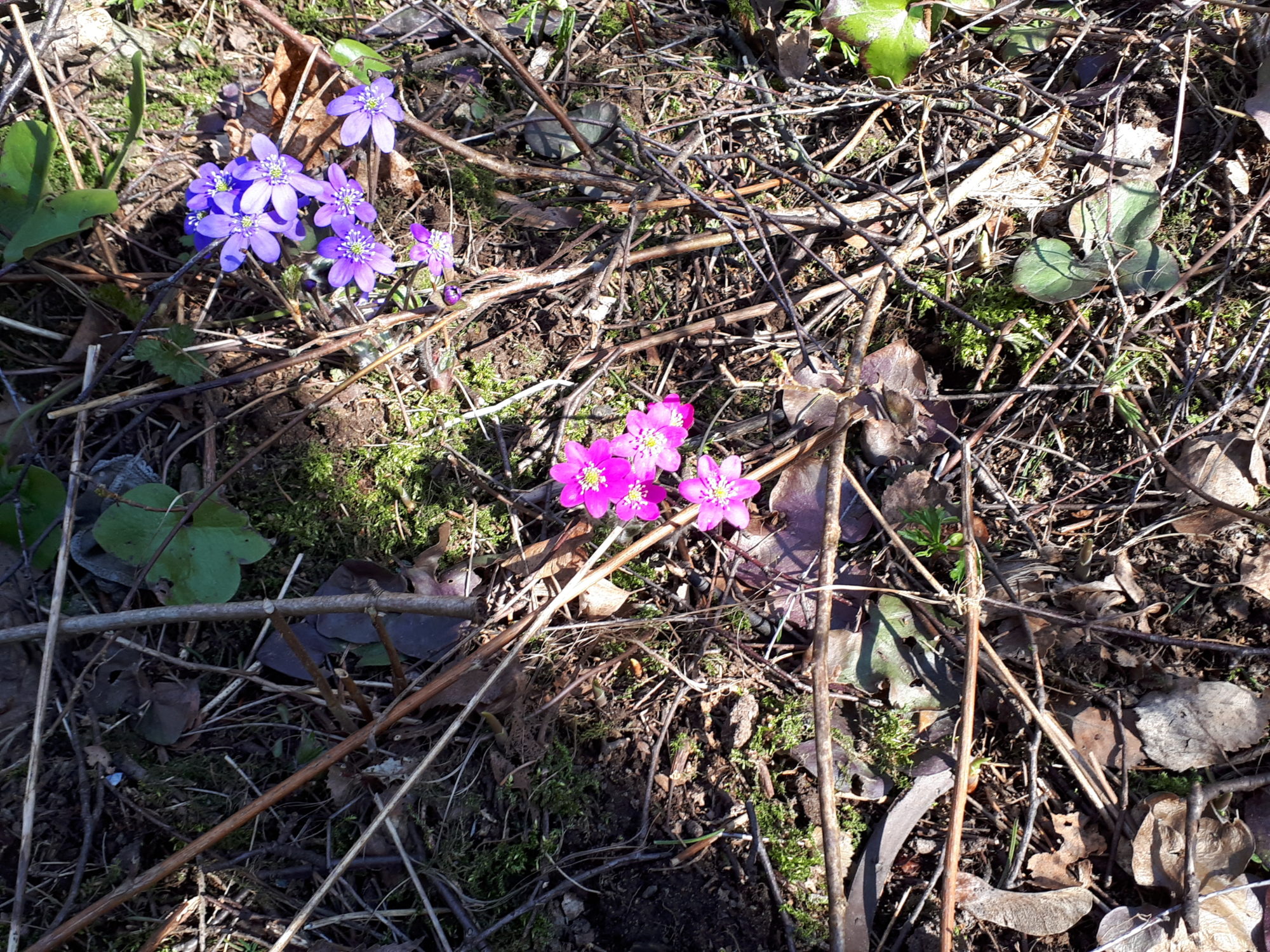 Valokuvaaja: Kerstin Itkonen Valokuvaaja: Kerstin Itkonen