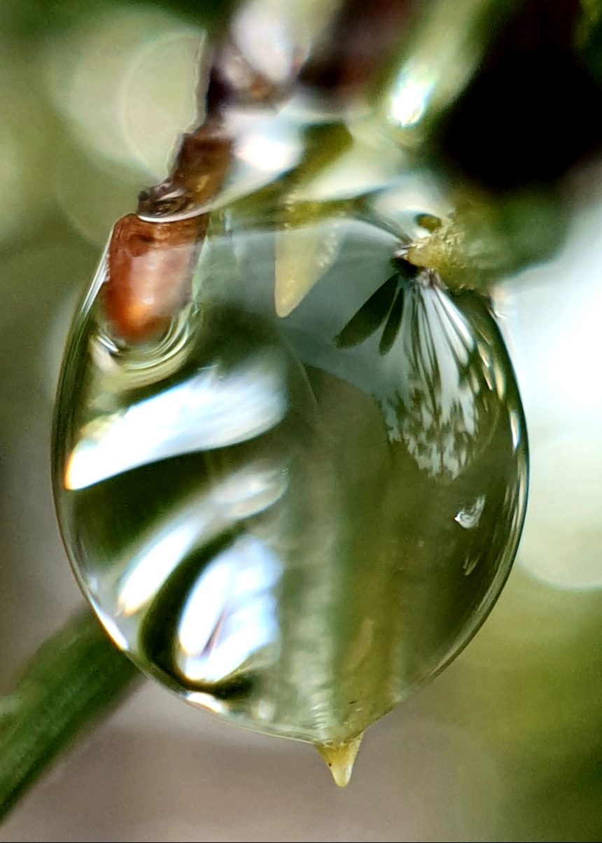 Valokuvaaja: Mikko Saarinen