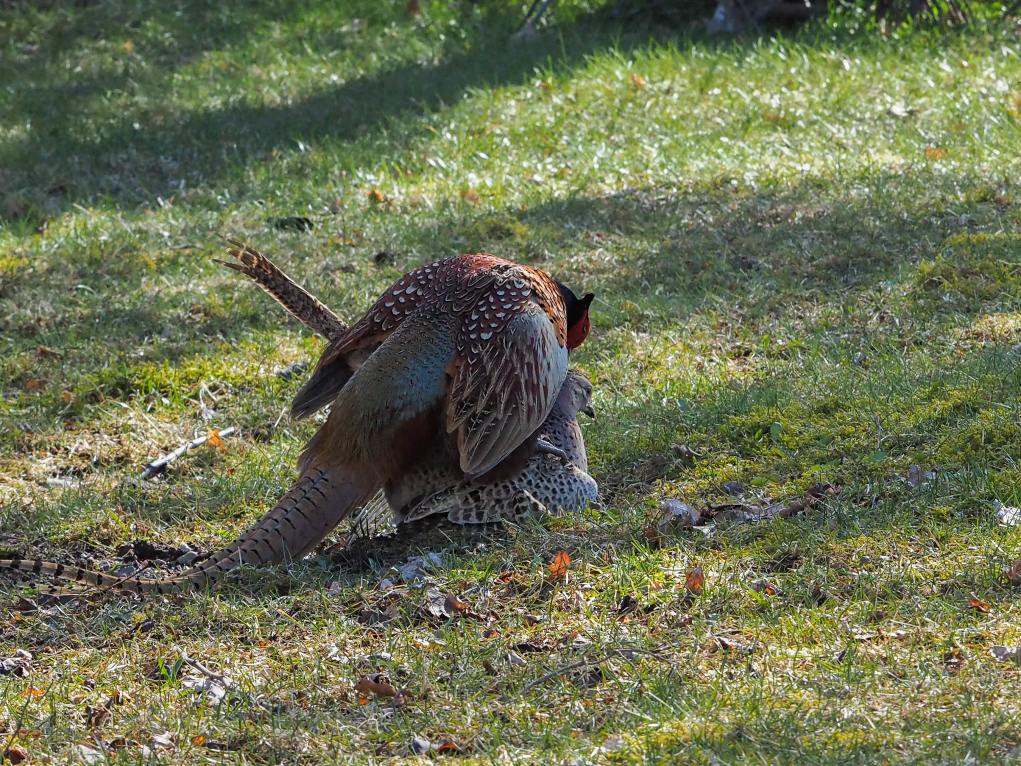 Valokuvaaja: Aki Jalava