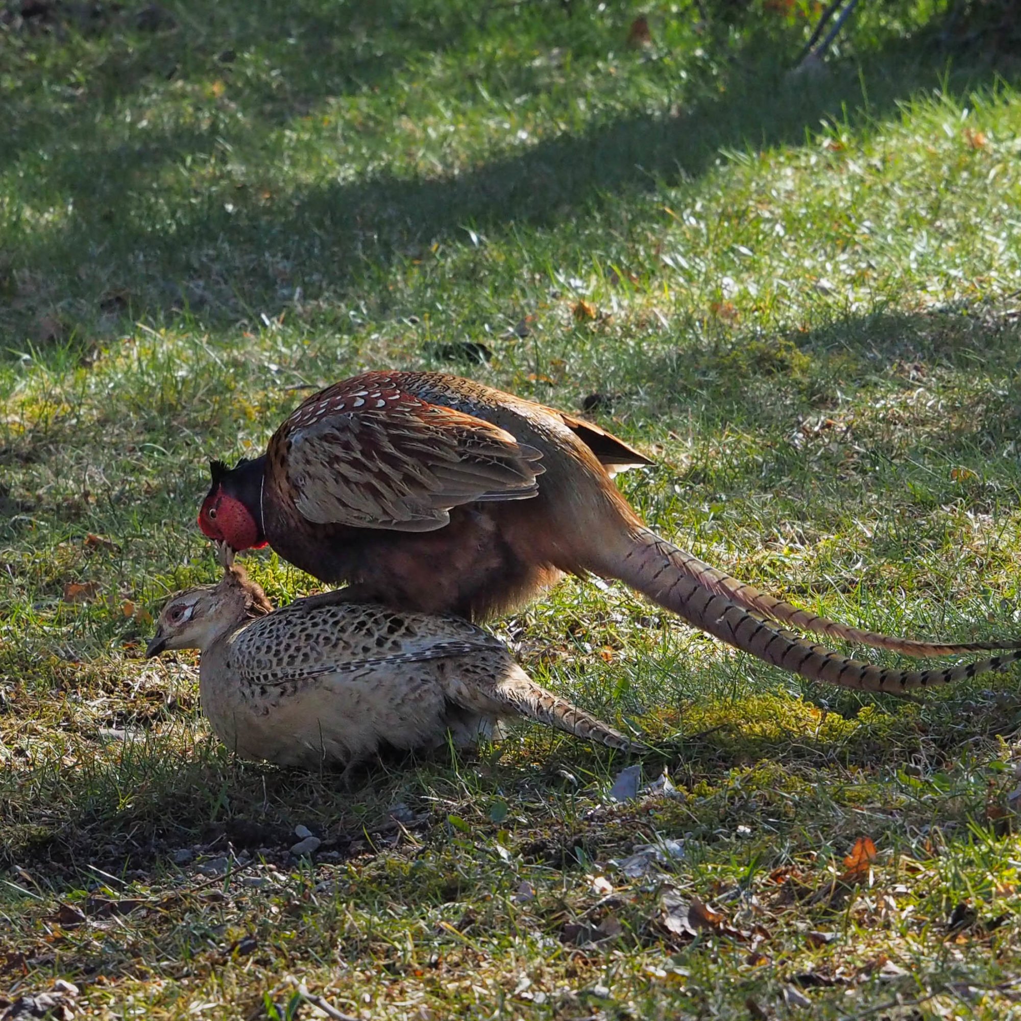 Valokuvaaja: Aki Jalava