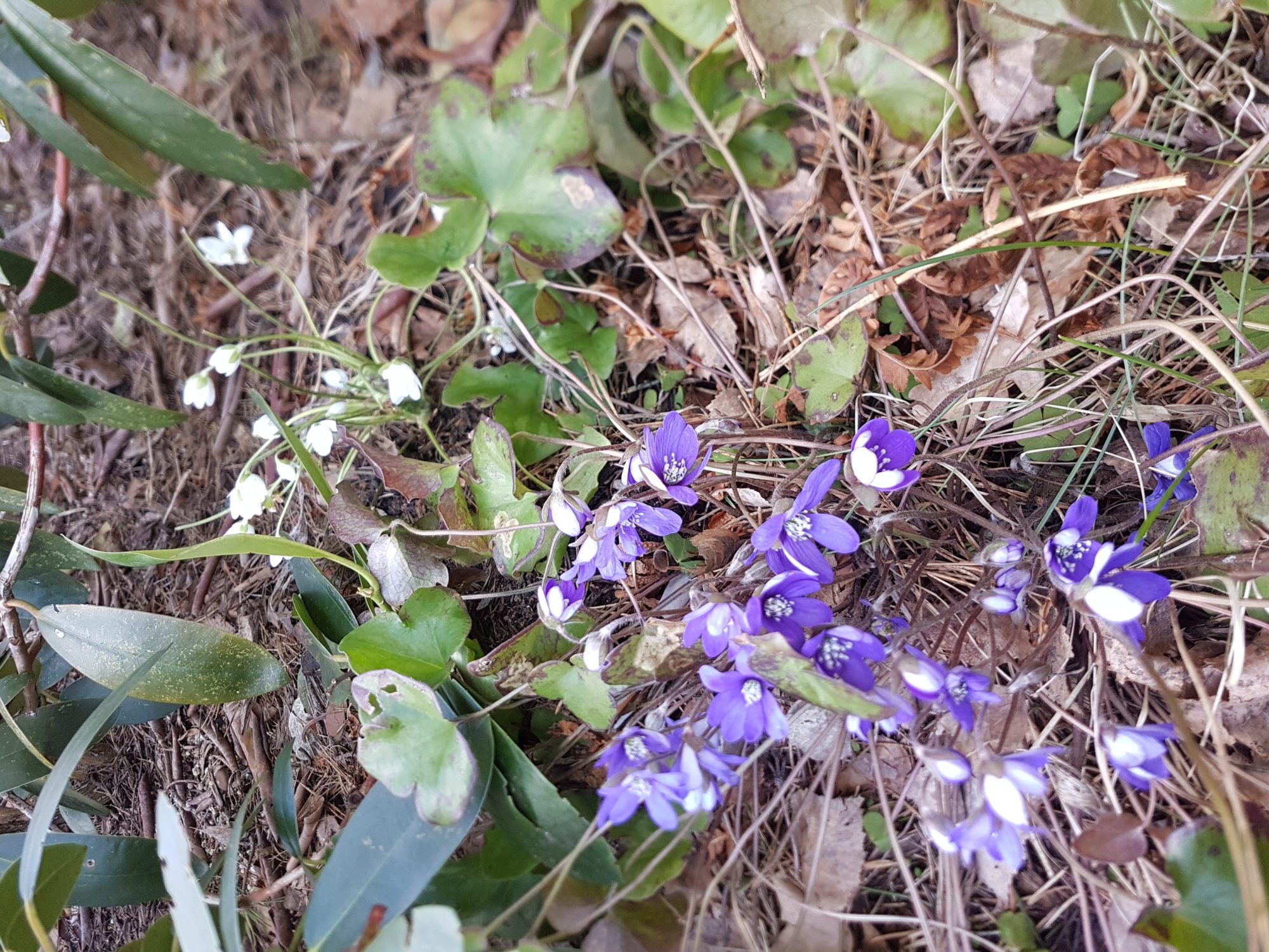 Valokuvaaja: Jenni Hulkko