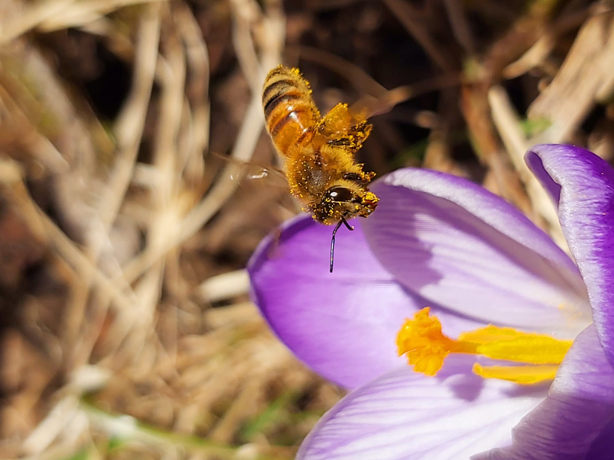 Valokuvaaja: Suvi Liiri-Hämäläinen