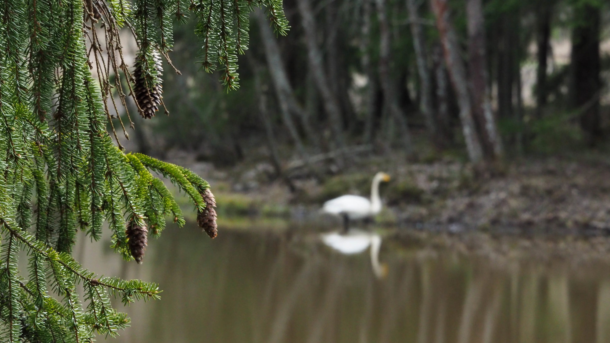 Valokuvaaja: Aki Jalava