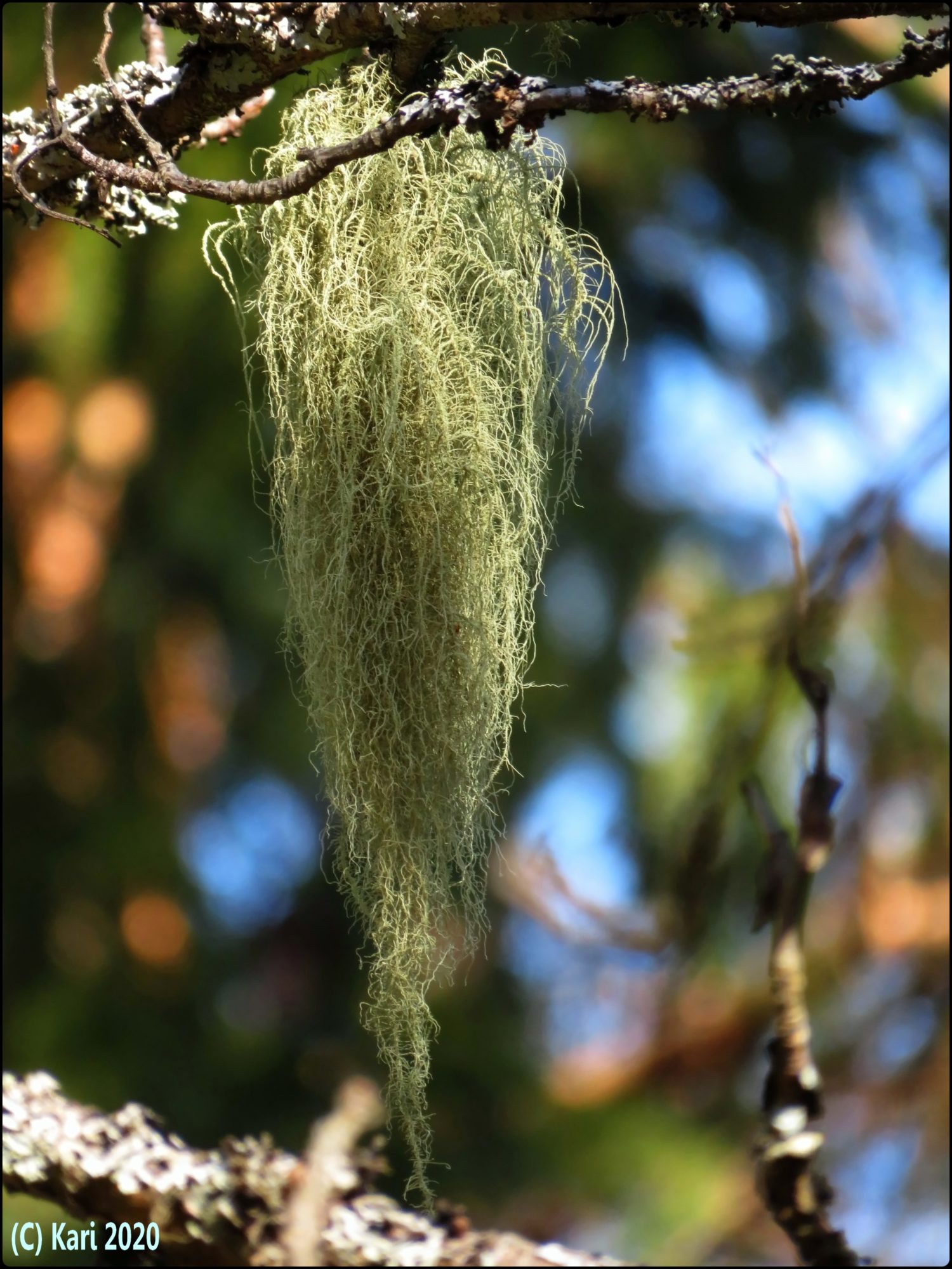 Valokuvaaja: Kari Saarinen