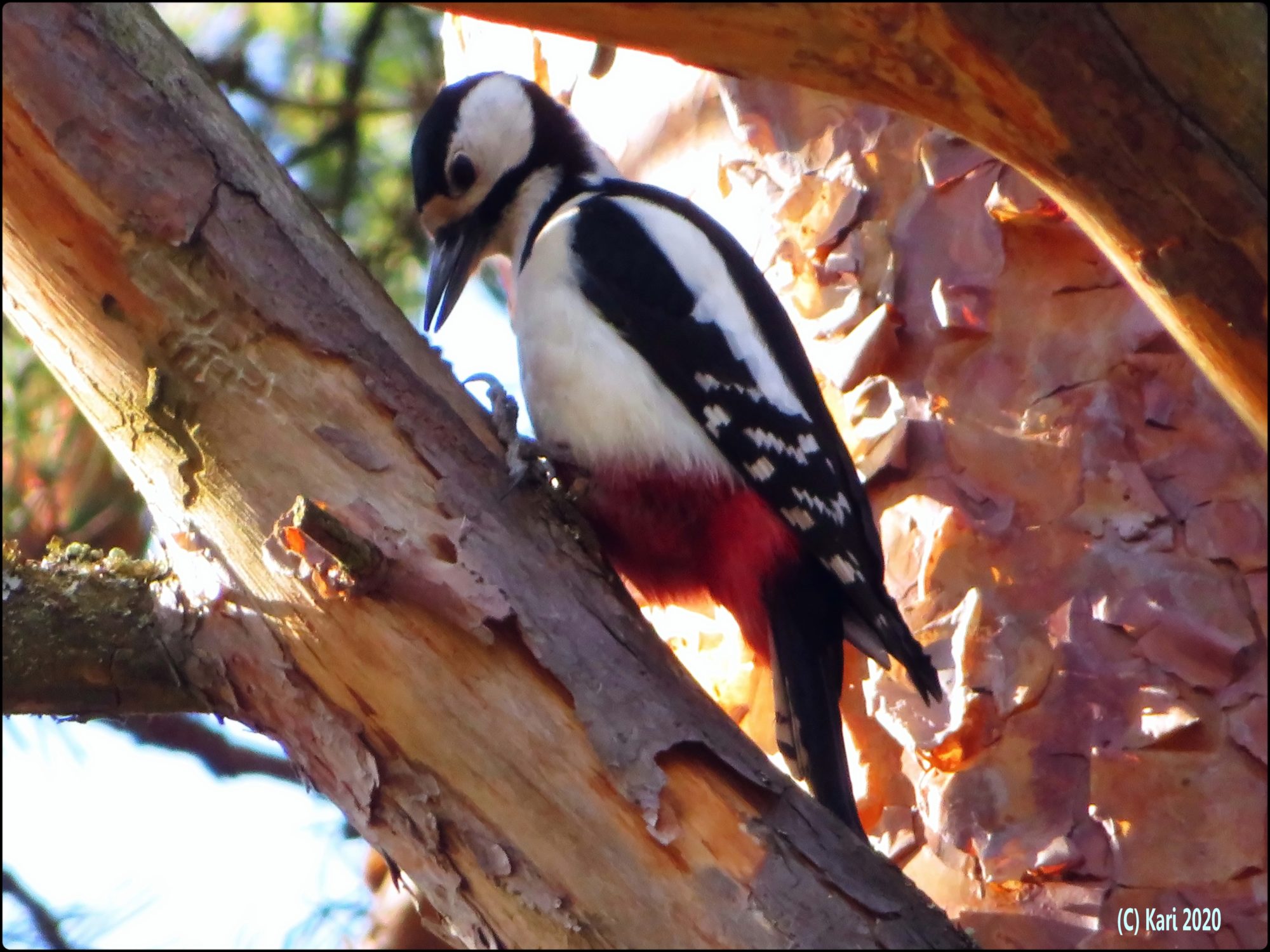 Valokuvaaja: Kari Saarinen