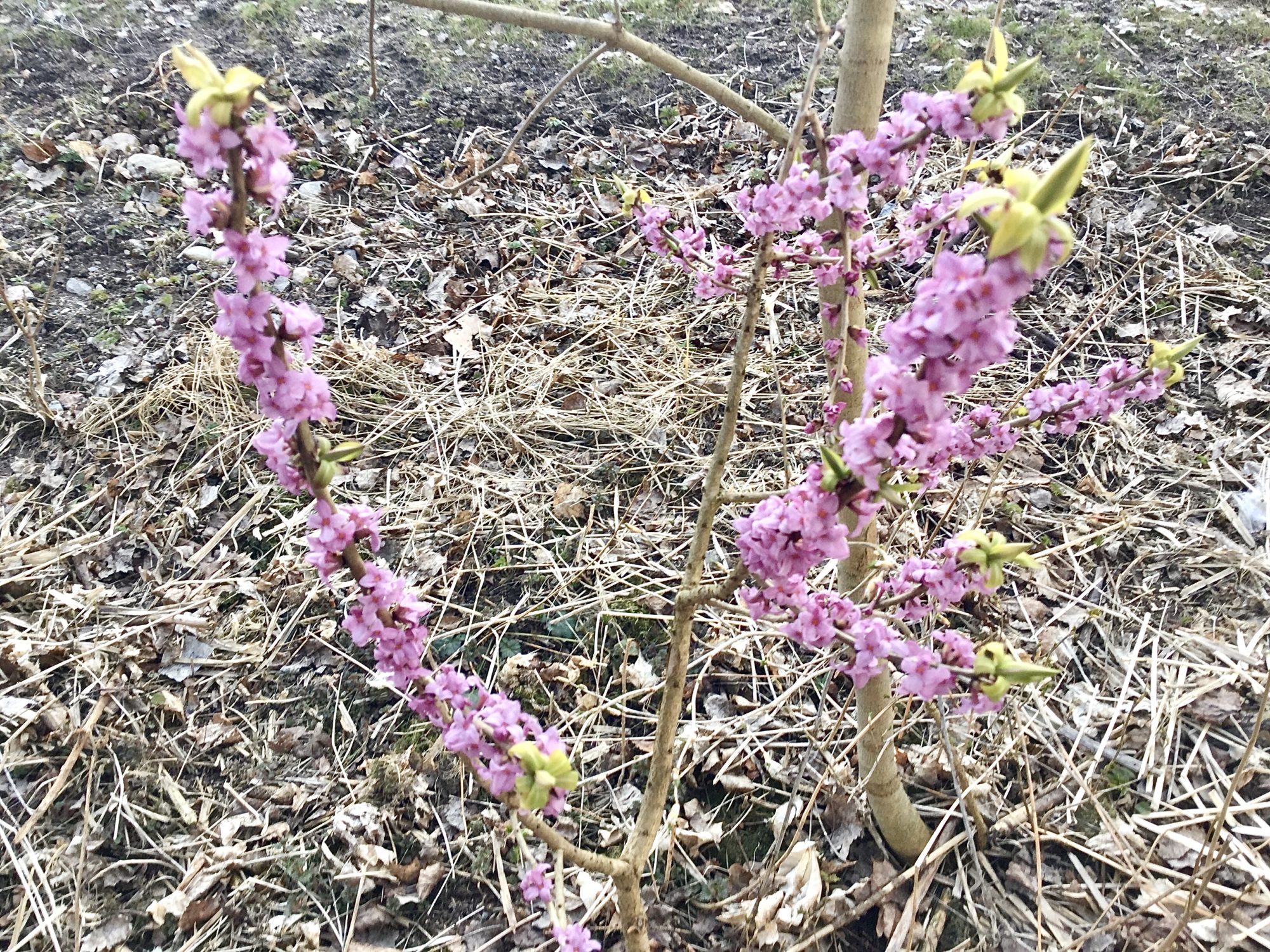 Valokuvaaja: Marko Kangas Valokuvaaja: Marko Kangas
