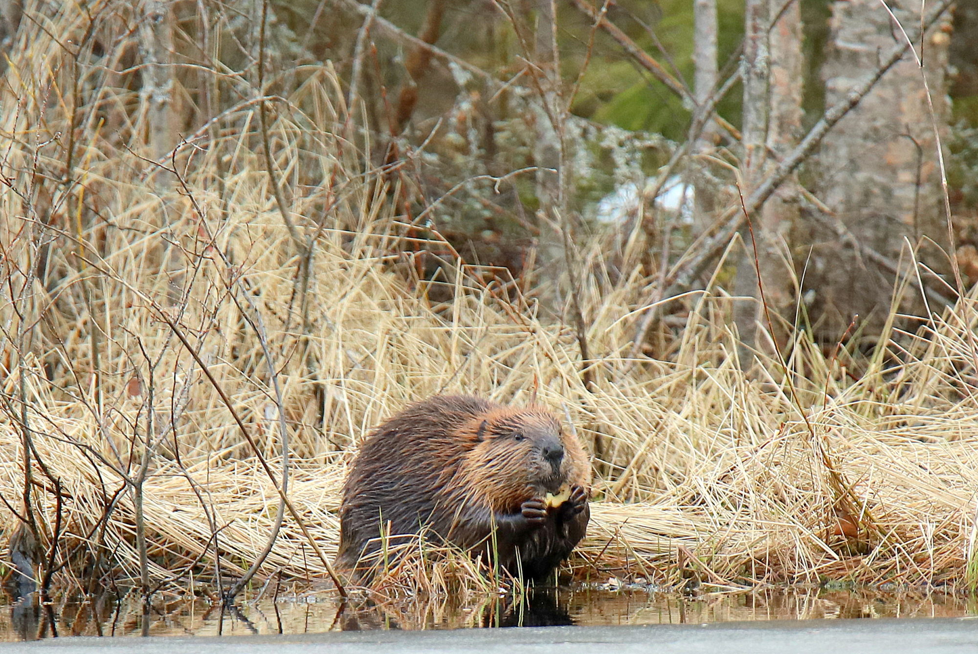 Valokuvaaja: sirpa jyske