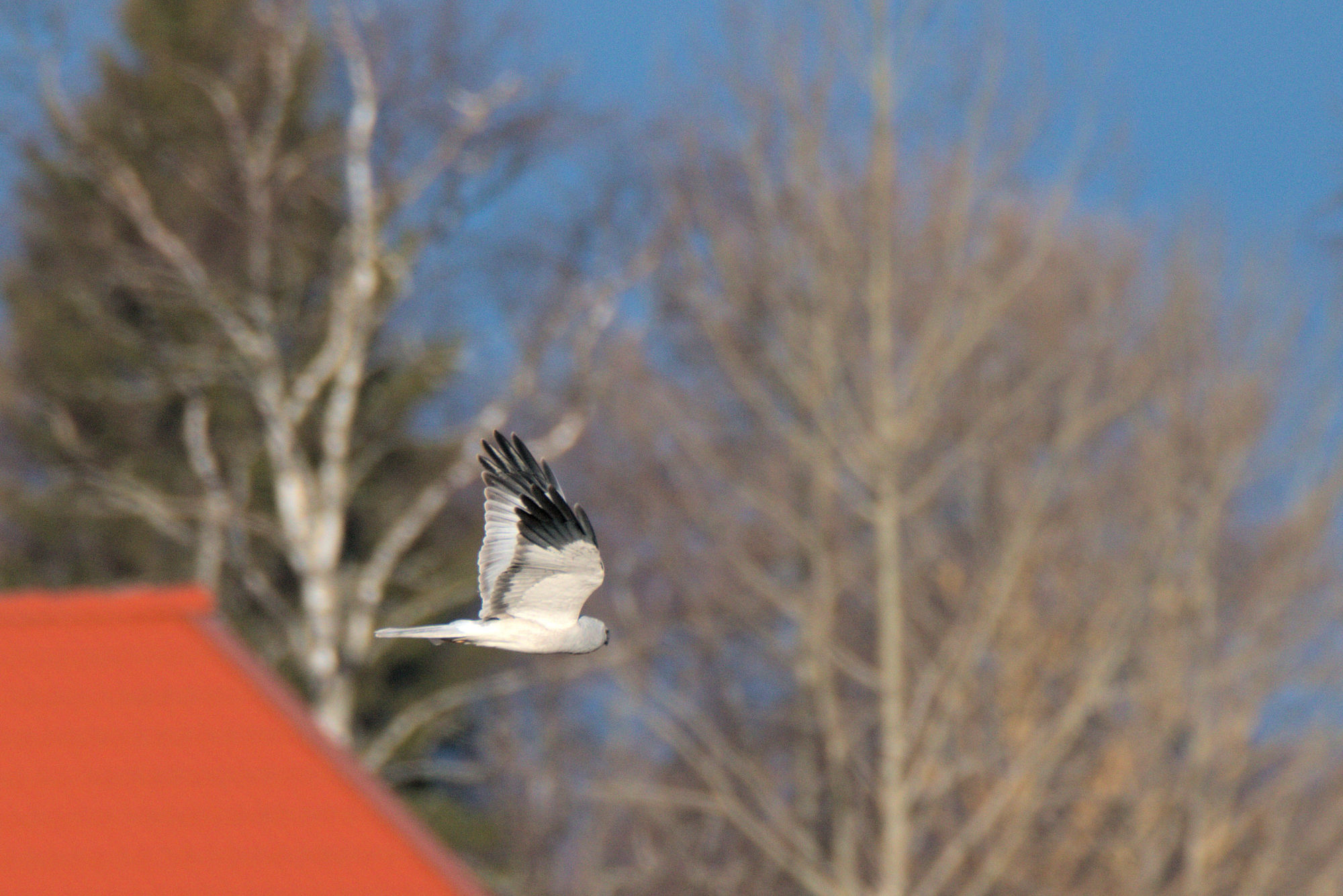 Valokuvaaja: Ahti Keränen