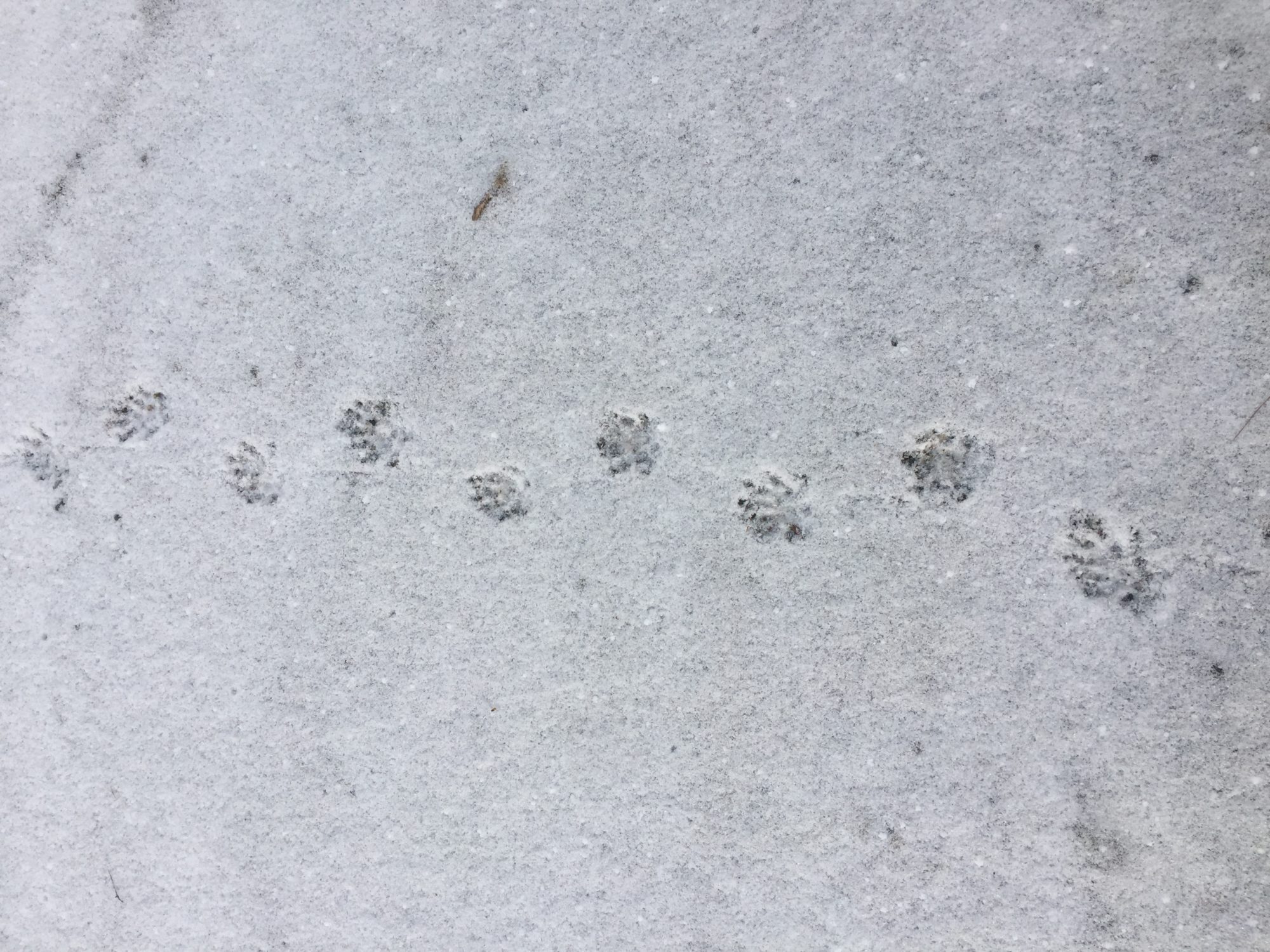 Valokuvaaja: Markku Ranta-Eilola