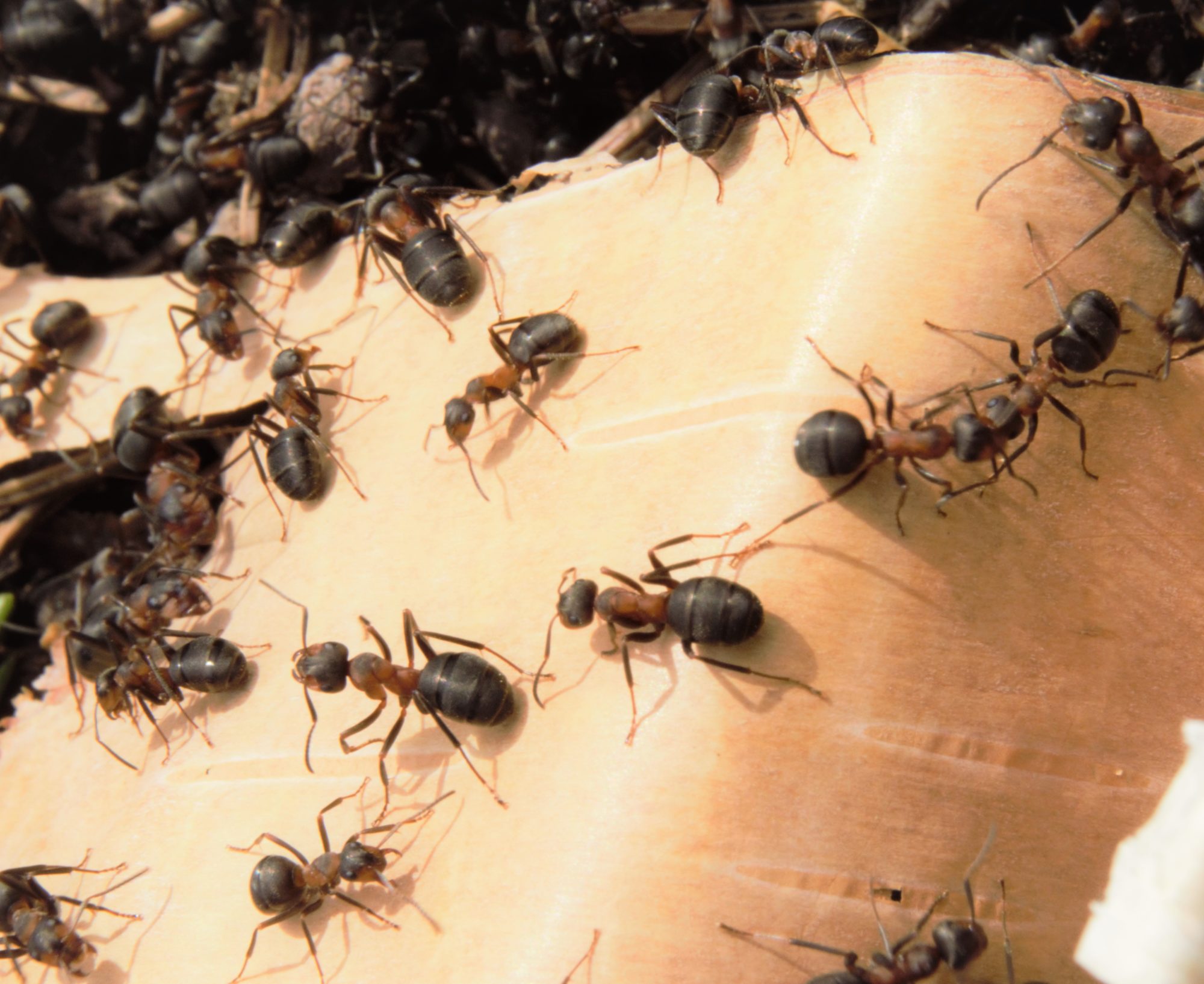 Valokuvaaja: Leena Rissanen