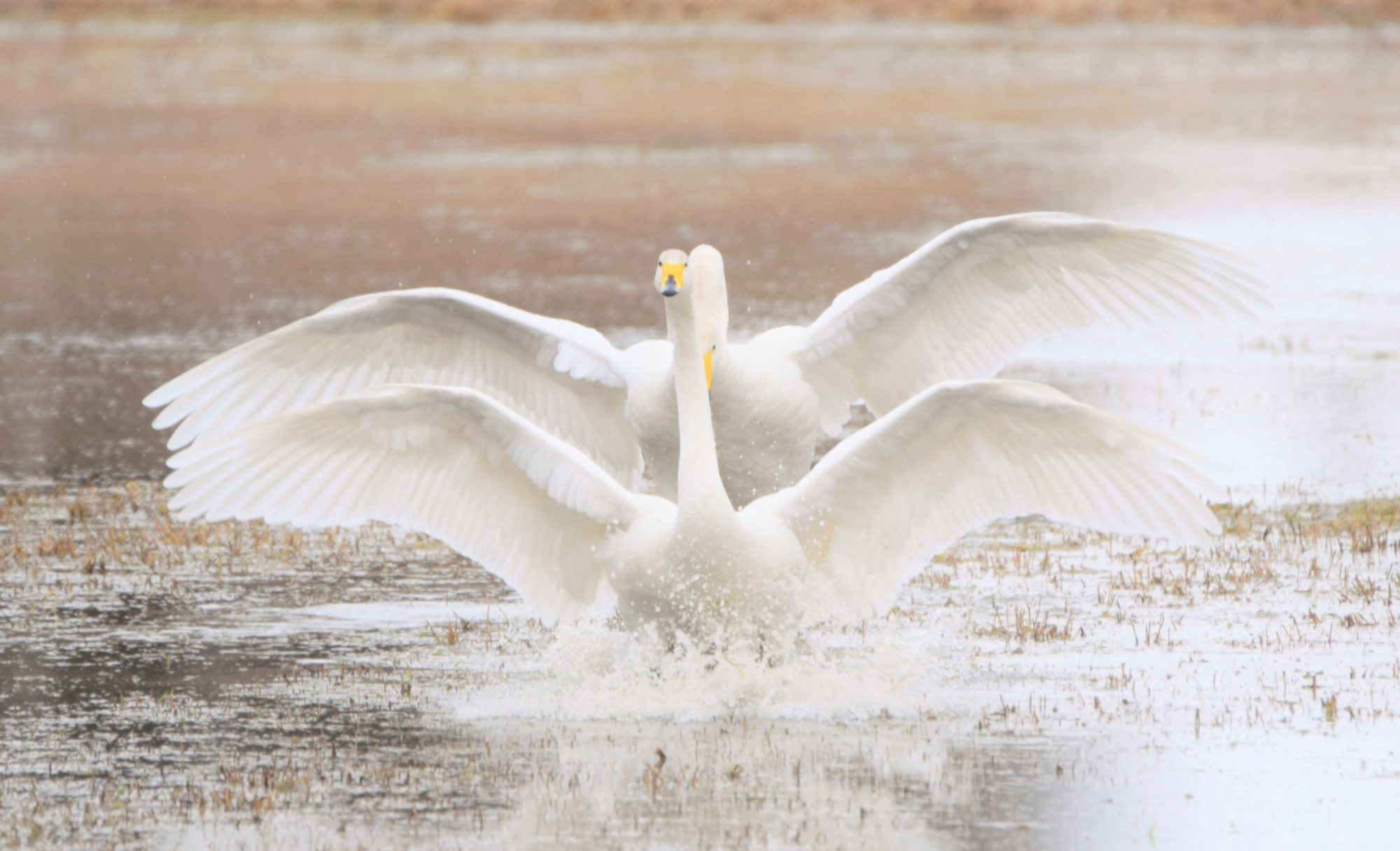 Valokuvaaja: Leena Rissanen Valokuvaaja: Leena Rissanen