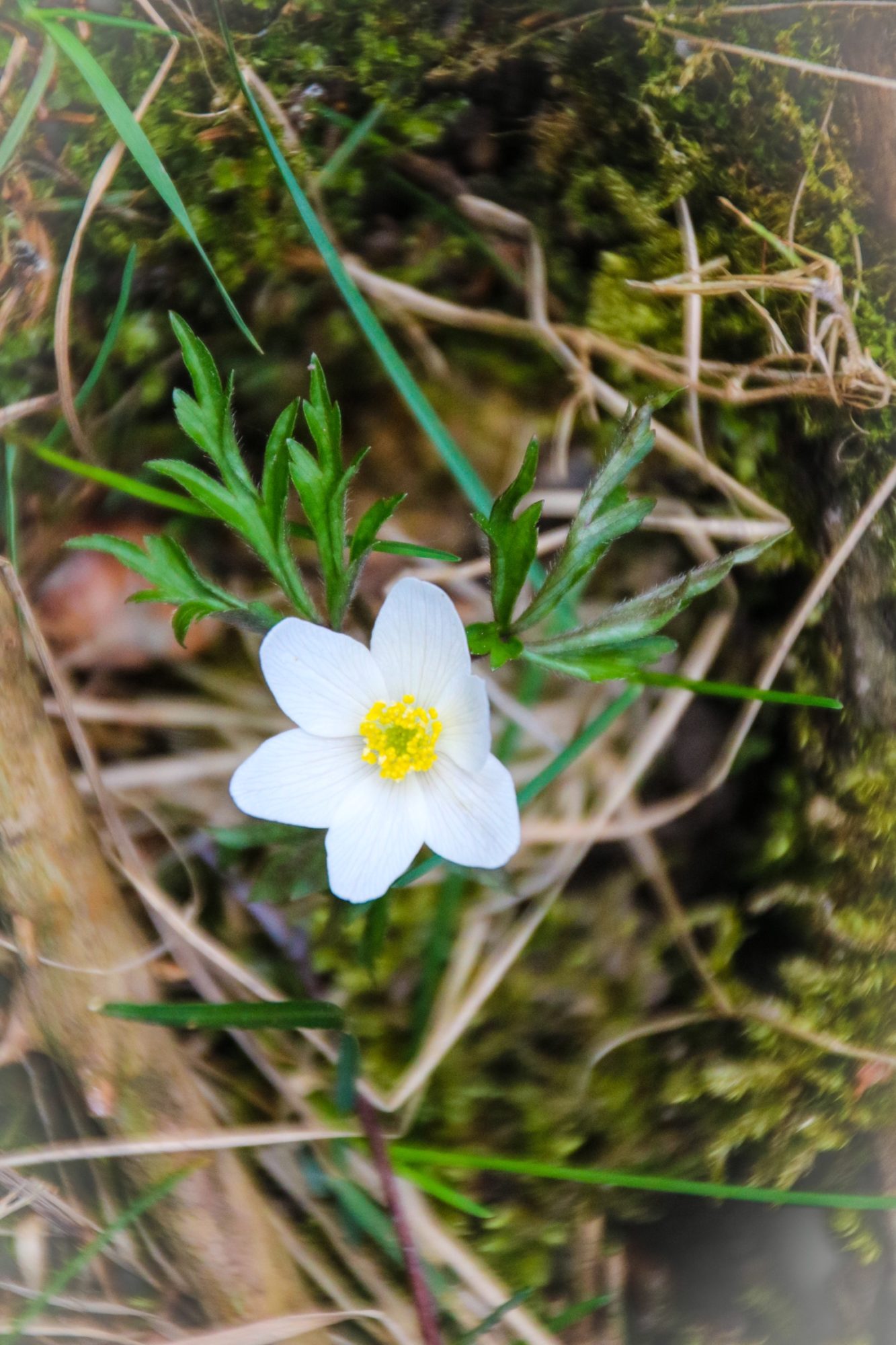Valokuvaaja: Pirjo Kallio