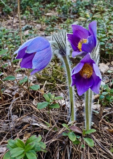 Valokuvaaja: Markku Ranta-Eilola