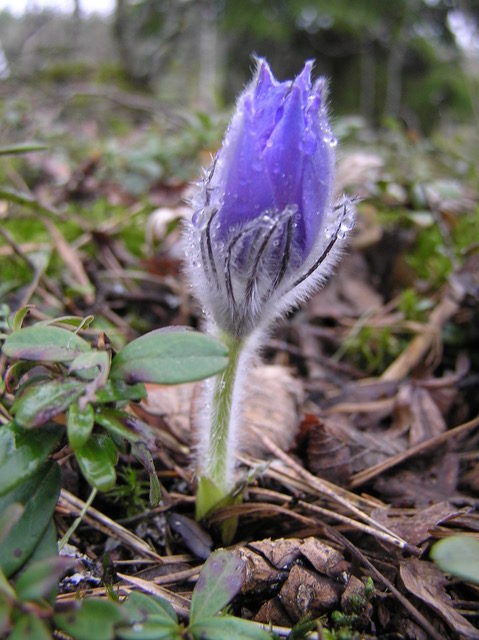 Valokuvaaja: Markku Ranta-Eilola