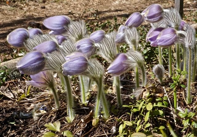 Valokuvaaja: Markku Ranta-Eilola