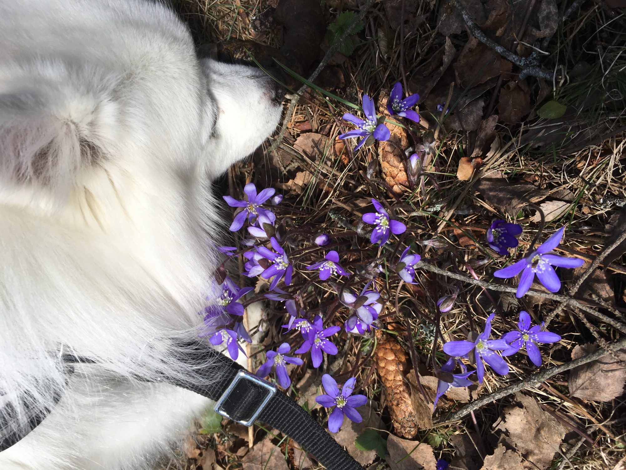 Valokuvaaja: Riitta Helekoski