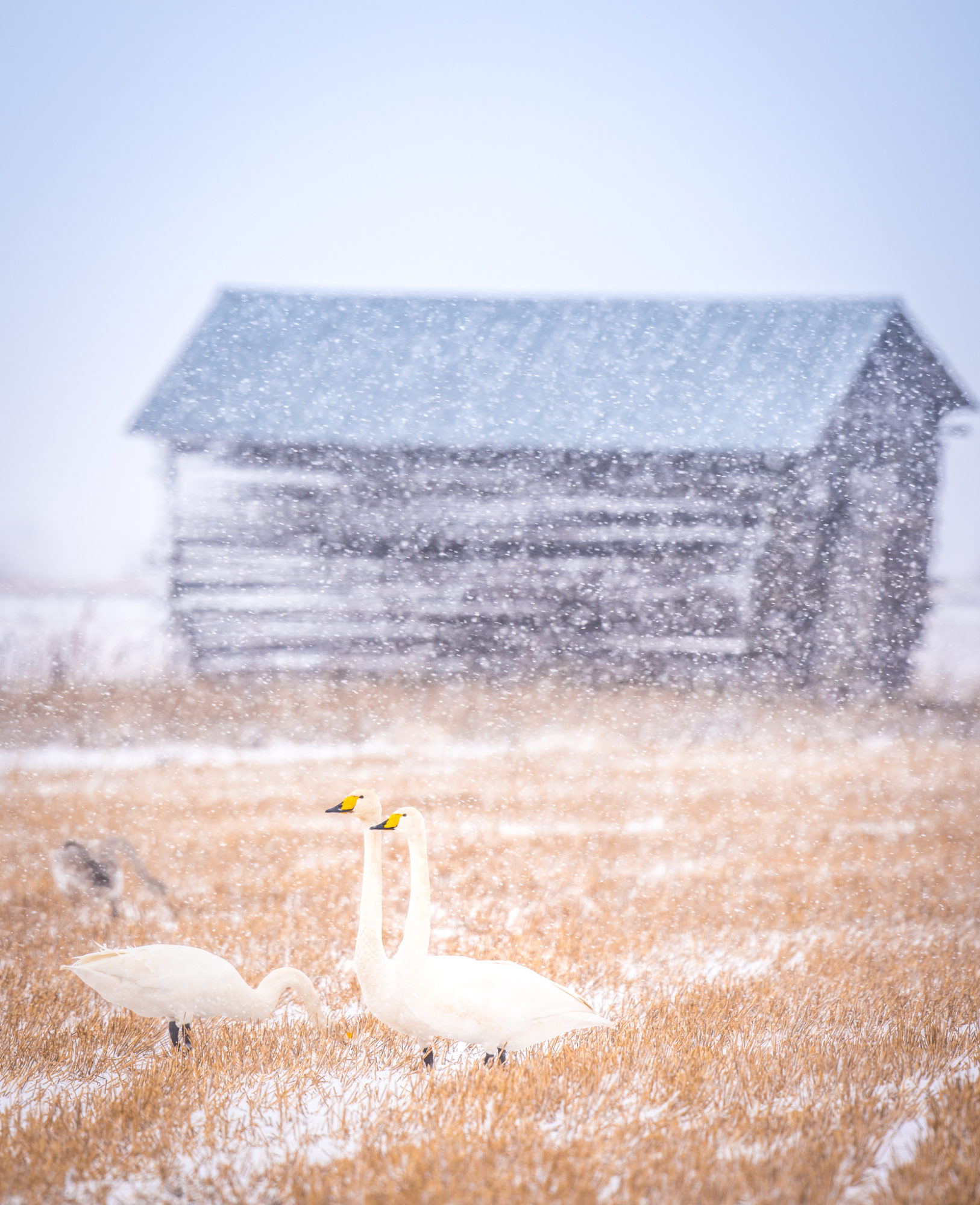 Valokuvaaja: Jukka Risikko