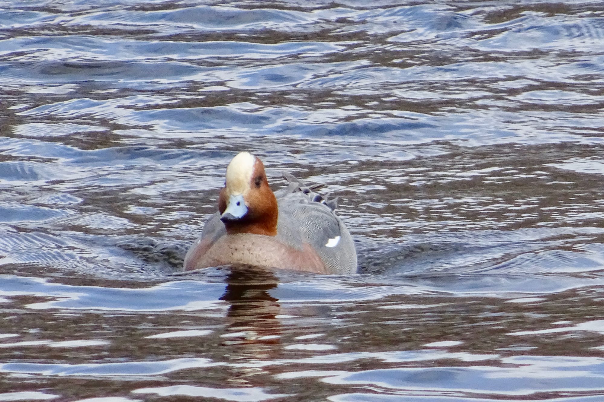 Valokuvaaja: Liisa Niiva-Korpela Valokuvaaja: Liisa Niiva-Korpela