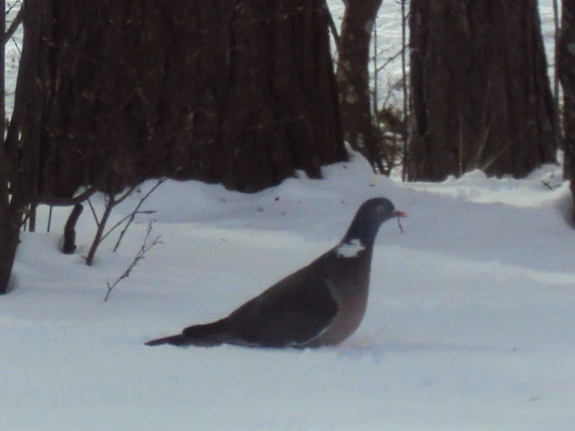 Valokuvaaja: jorma rauvola