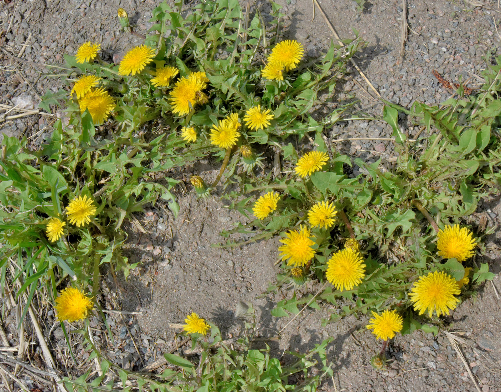 Valokuvaaja: Reijo Juurinen